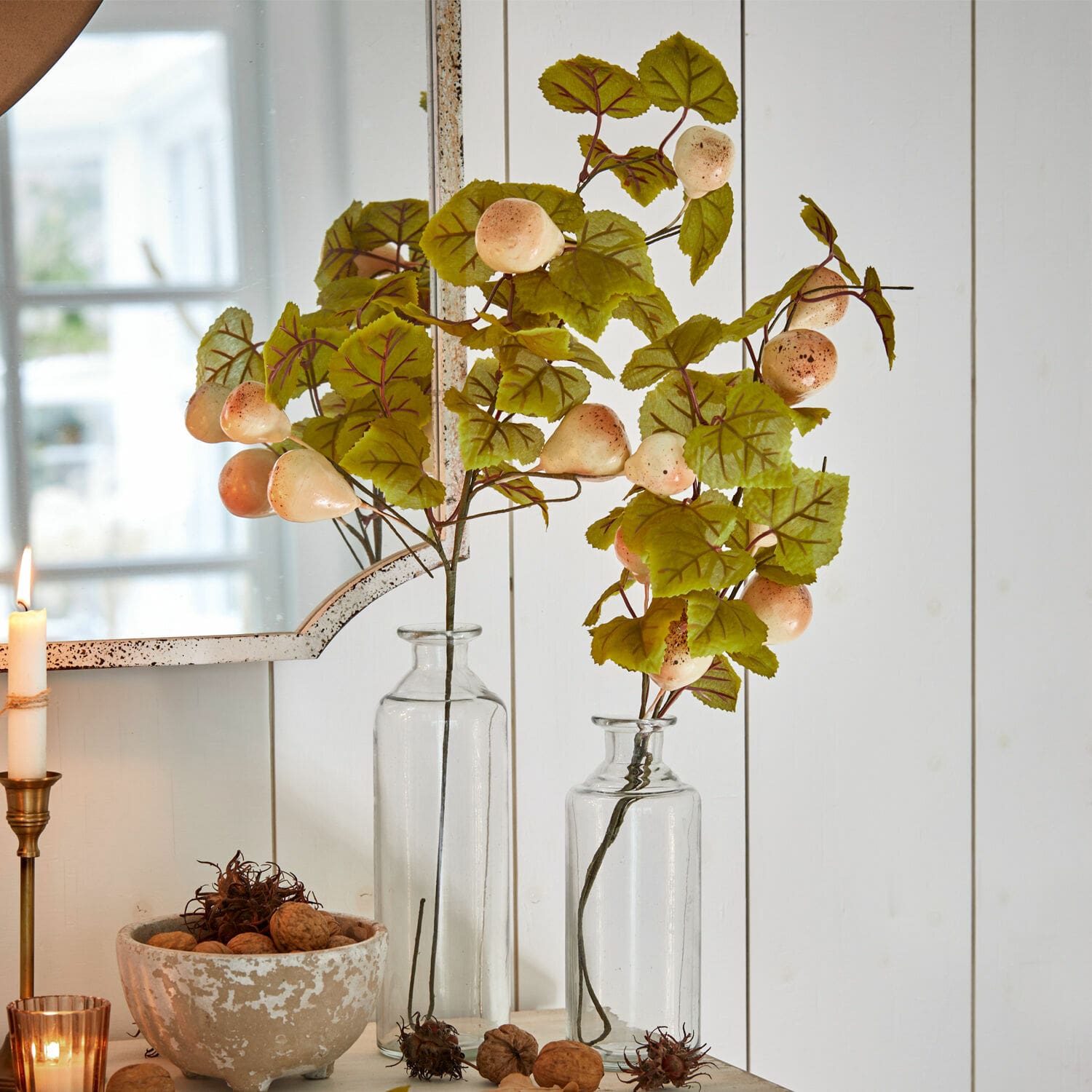 Branches décoratives avec feuilles vertes et fruits crème dans des vases en verre transparent sur fond blanc