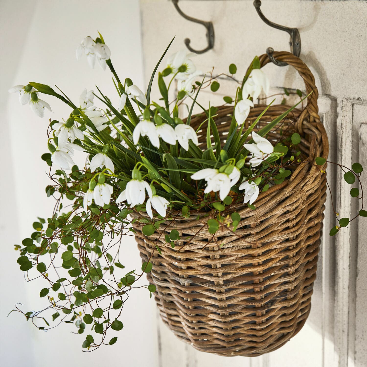 Sierbloem set van 12 Willmare