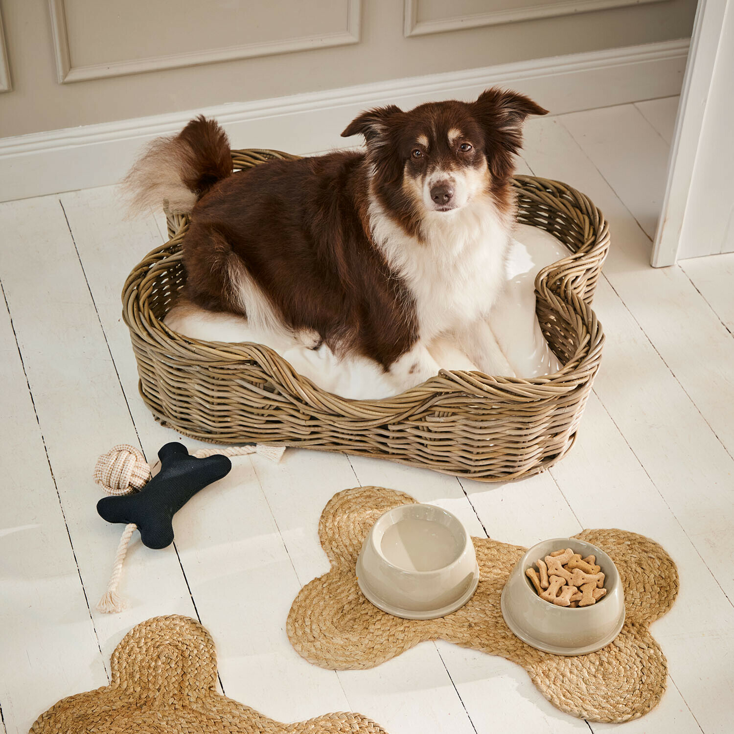 Panier pour animaux Ninloo
