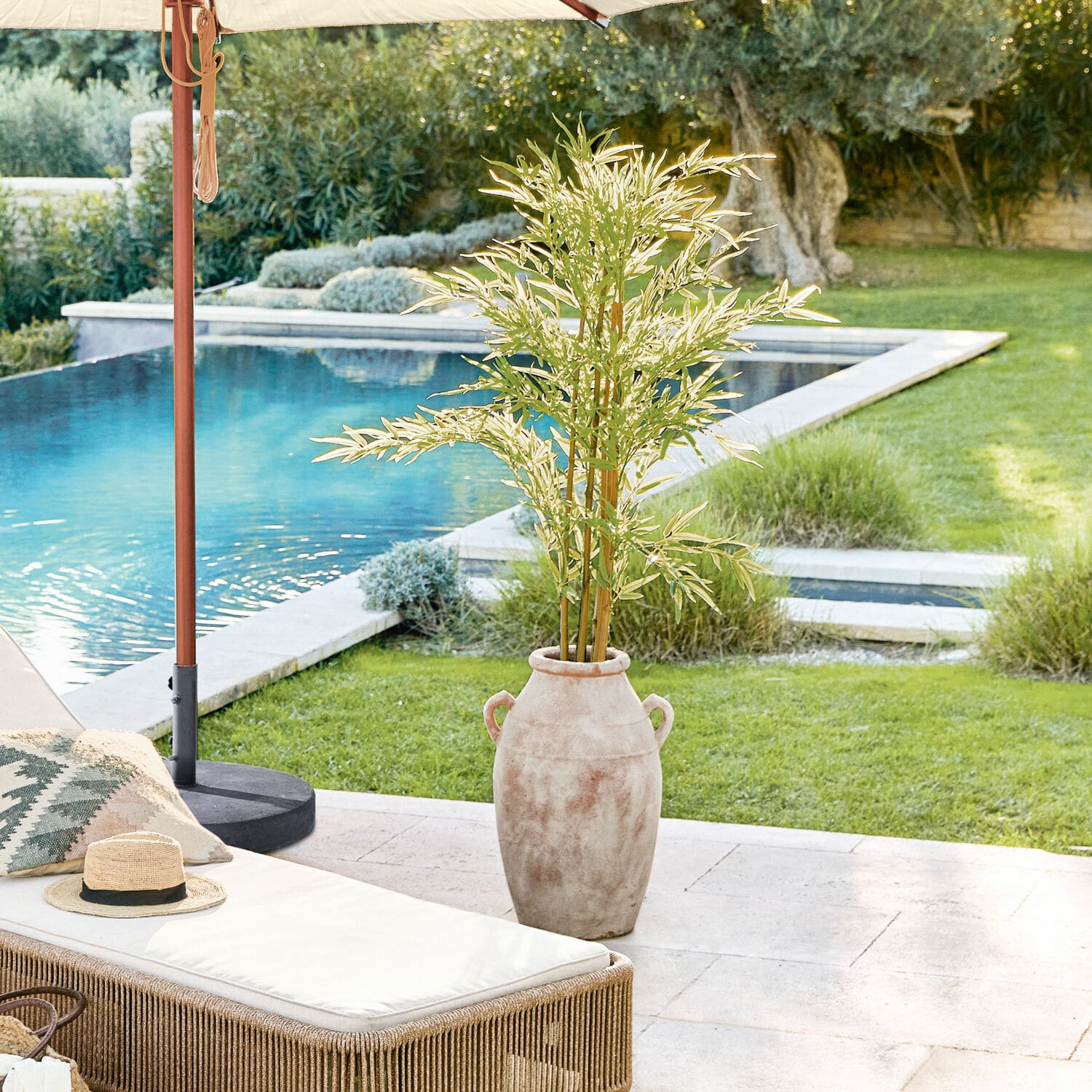Plante décorative en pot Ligron