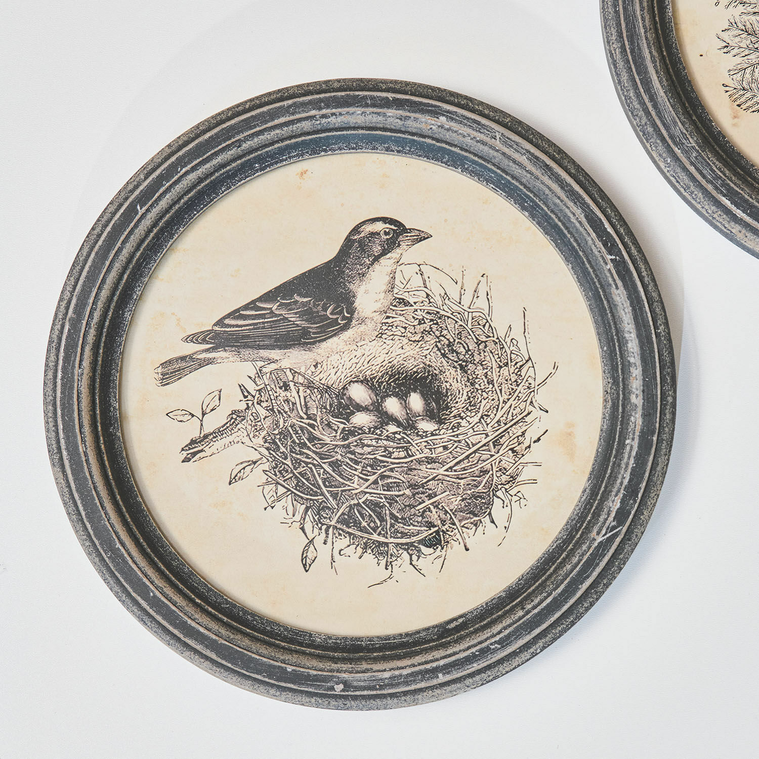 Afbeelding set van 2 Finuala