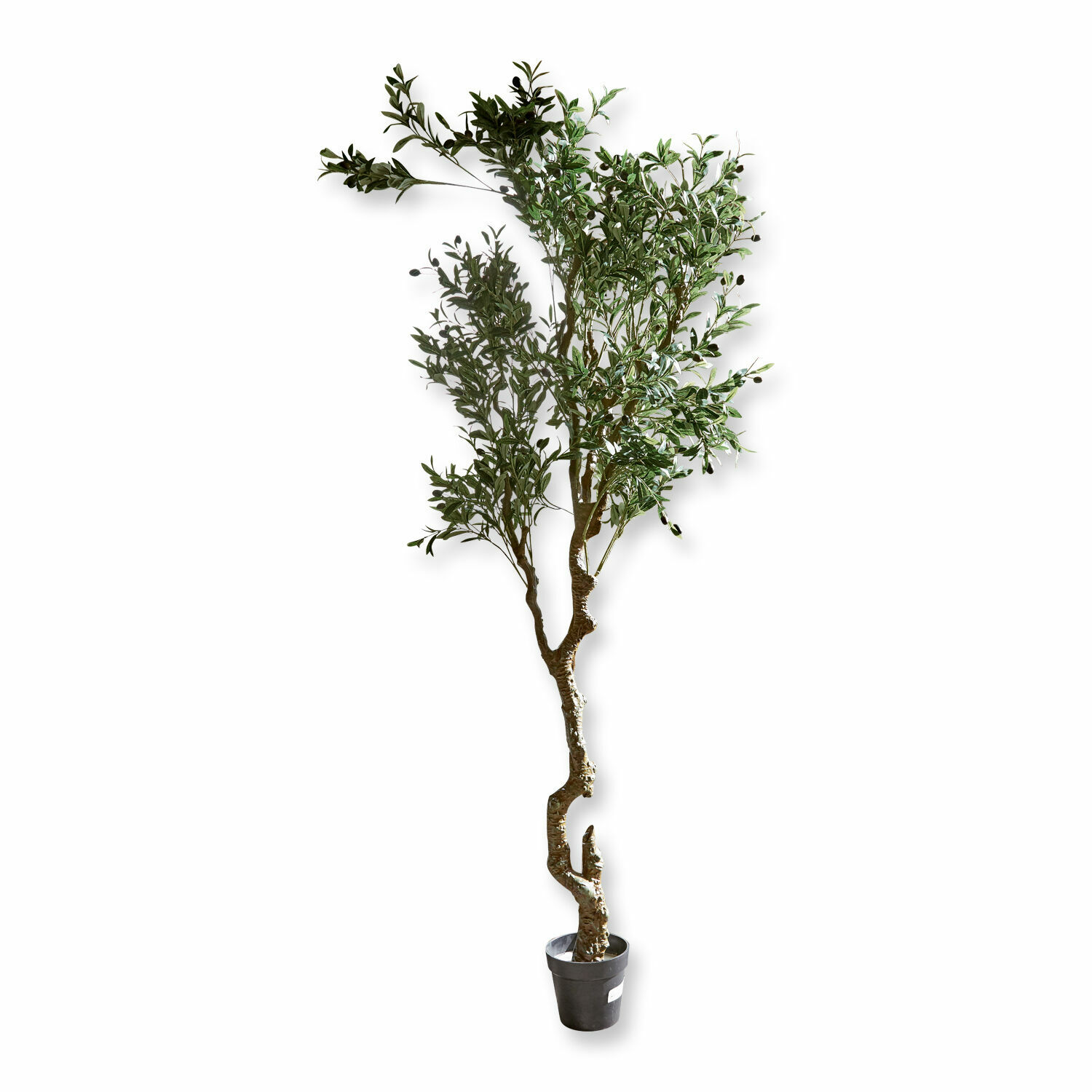 Sierpotplant Dambly Kunstmatige olijfboom in zwarte pot met groene bladeren voor interieurdecoratie
