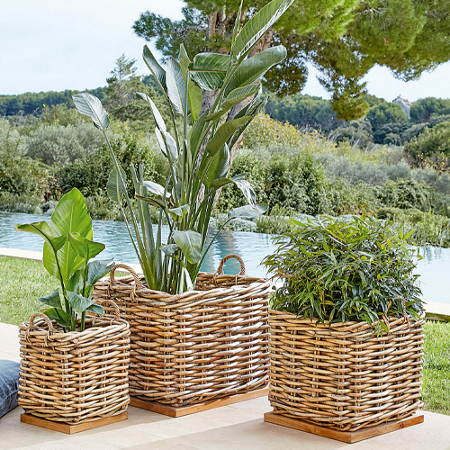 Drie vierkante rieten plantenbakken op houten voet met groene planten op terras
