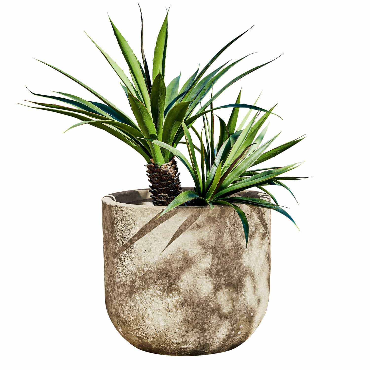 Cache-pot Ela Pot en béton gris avec plantes vertes décoratives pour intérieur et jardin moderne
