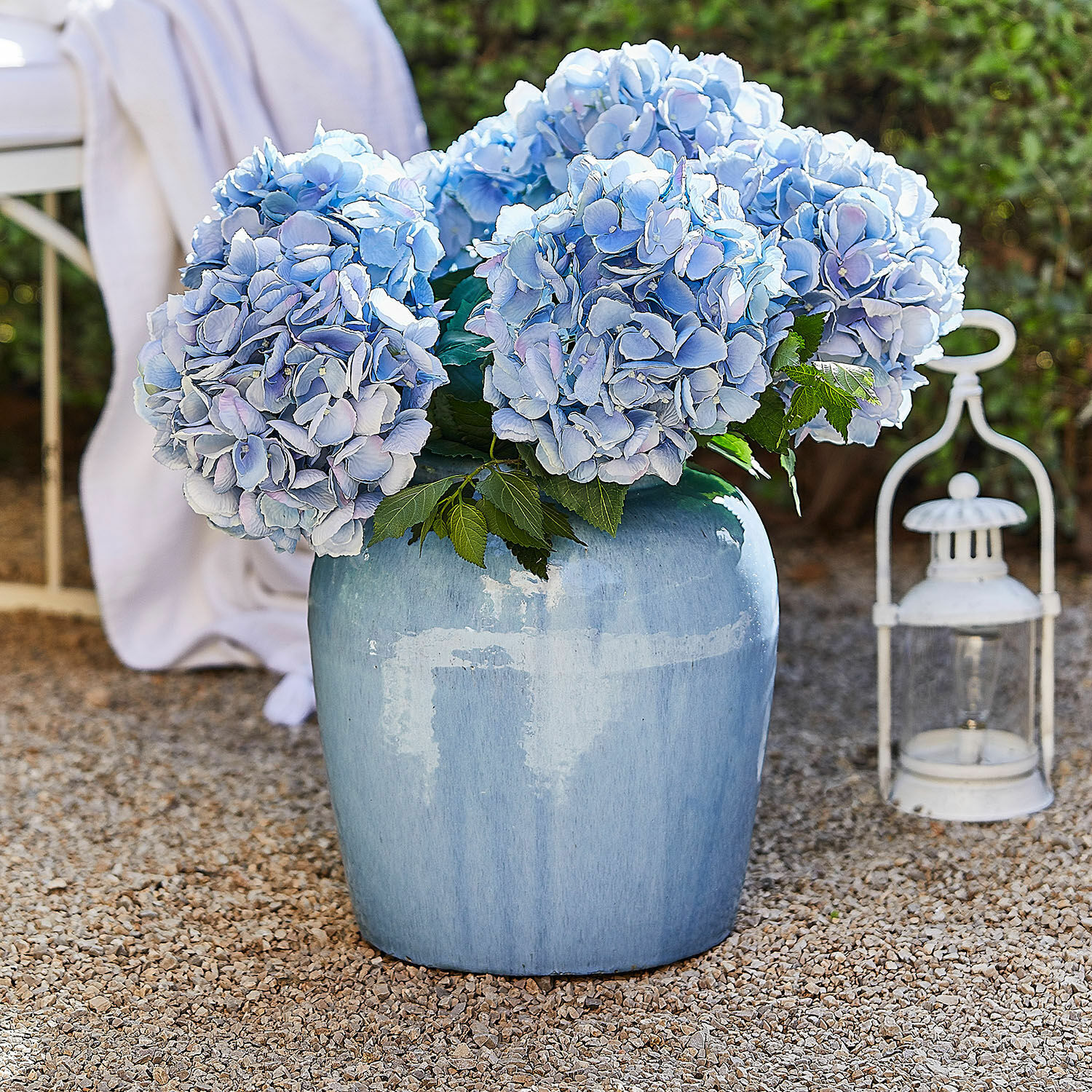 Vaas Uxemir Grote blauwe keramische vaas met lichtblauwe hortensia's op grind buiten