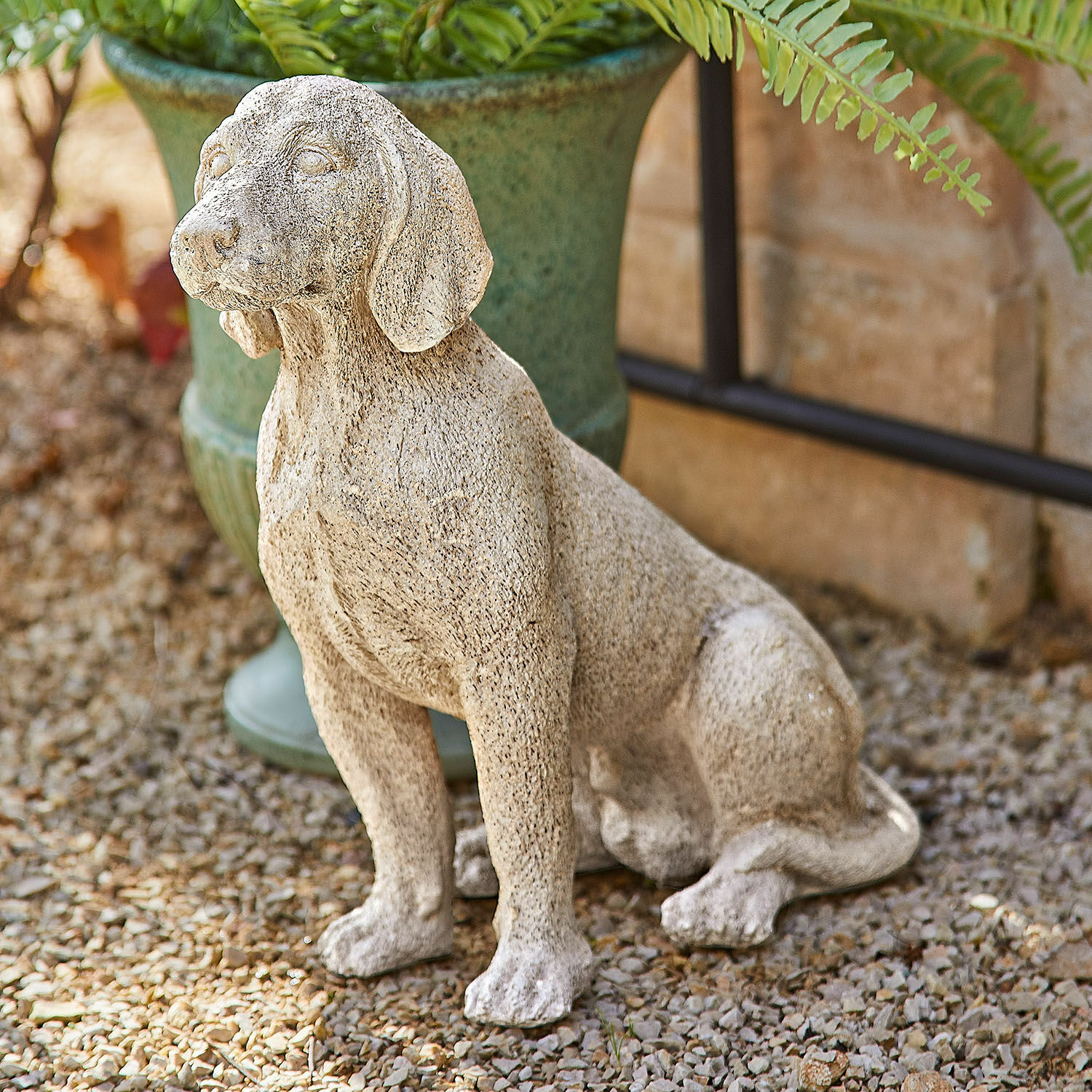Decoratieve hond Albinor