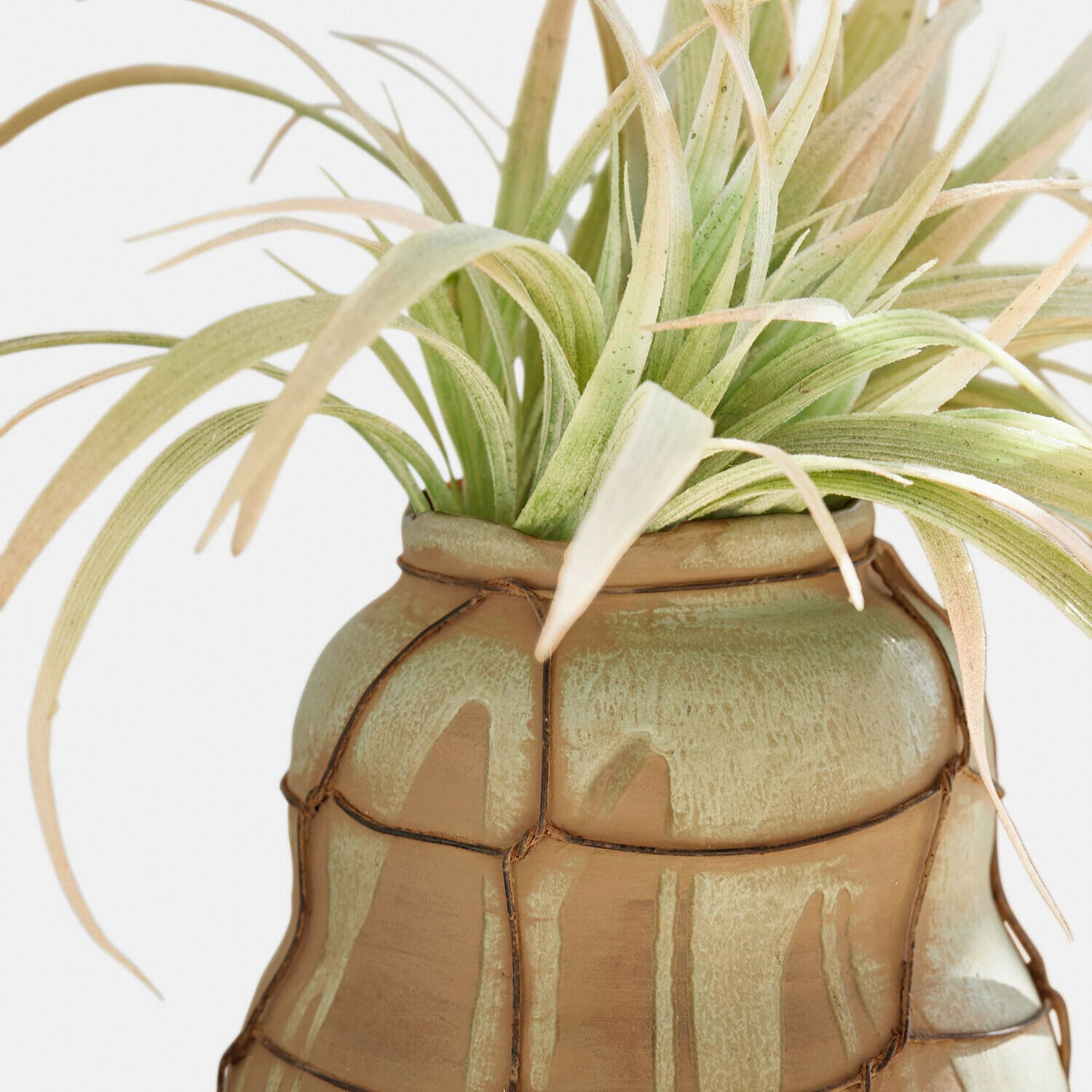 Lot de 2 vases Frandoro