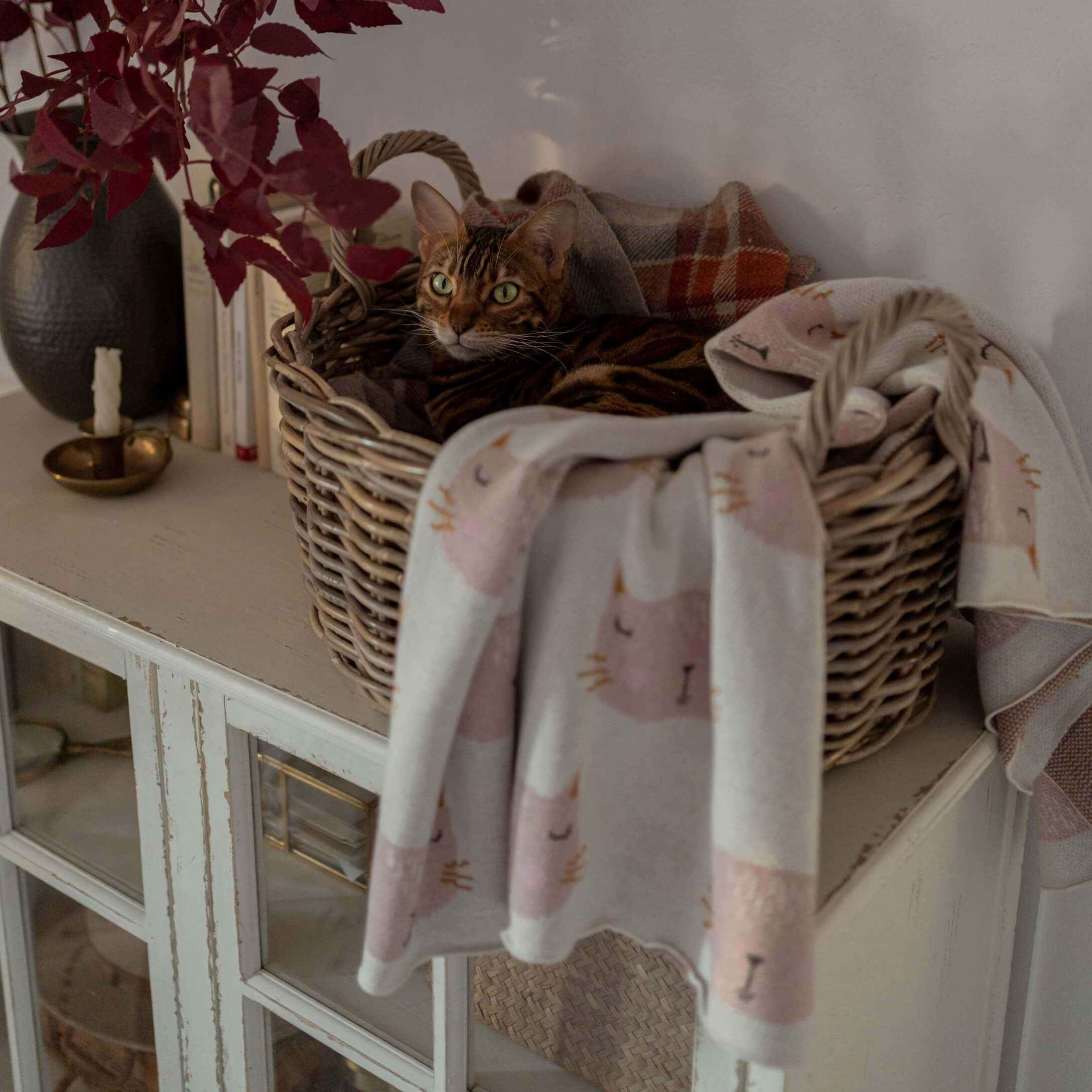 Chat brun dans un panier en osier avec une couverture douce à motifs de chats, ambiance chaleureuse
