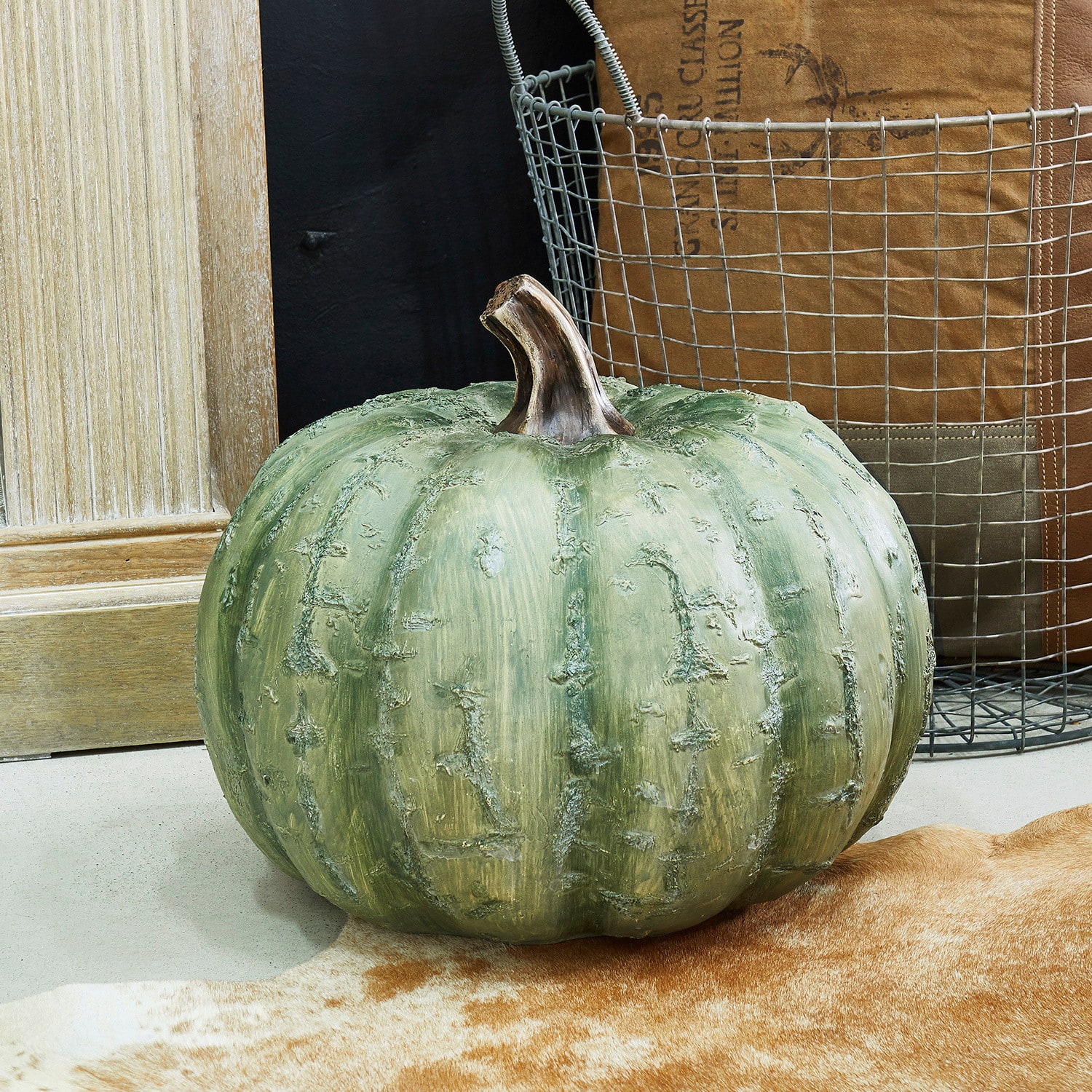 Citrouille Hamo