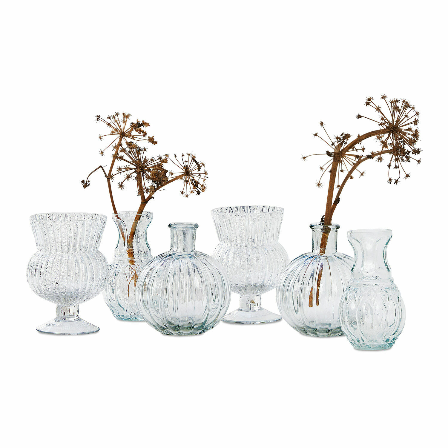 Lot de 6 vases Amber Ensemble de six vases en verre transparent avec fleurs séchées, décoration élégante pour table