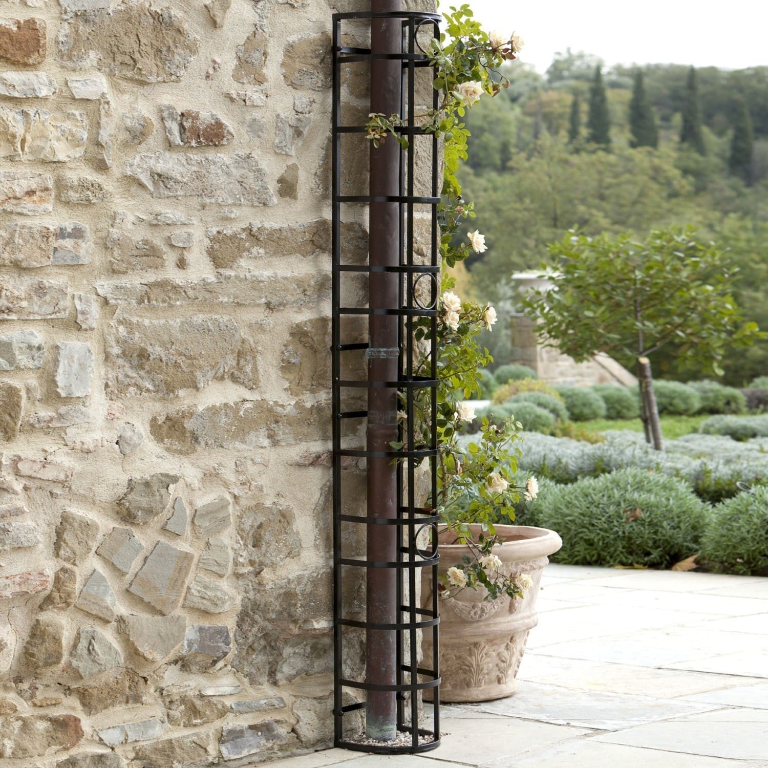 Treillage Vitot Treillis en métal noir pour soutenir les plantes grimpantes contre un mur en pierre dans un jardin