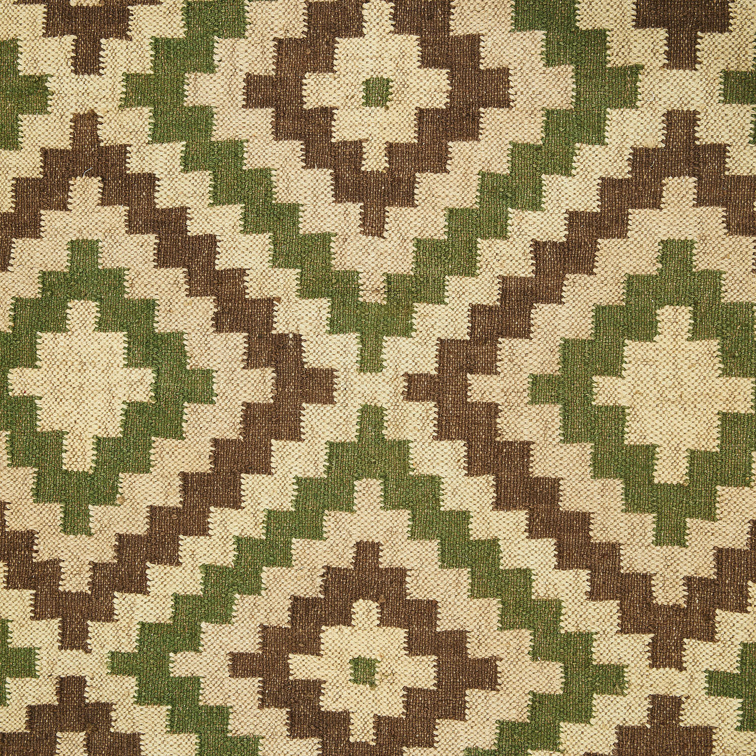 Tapis Dailies