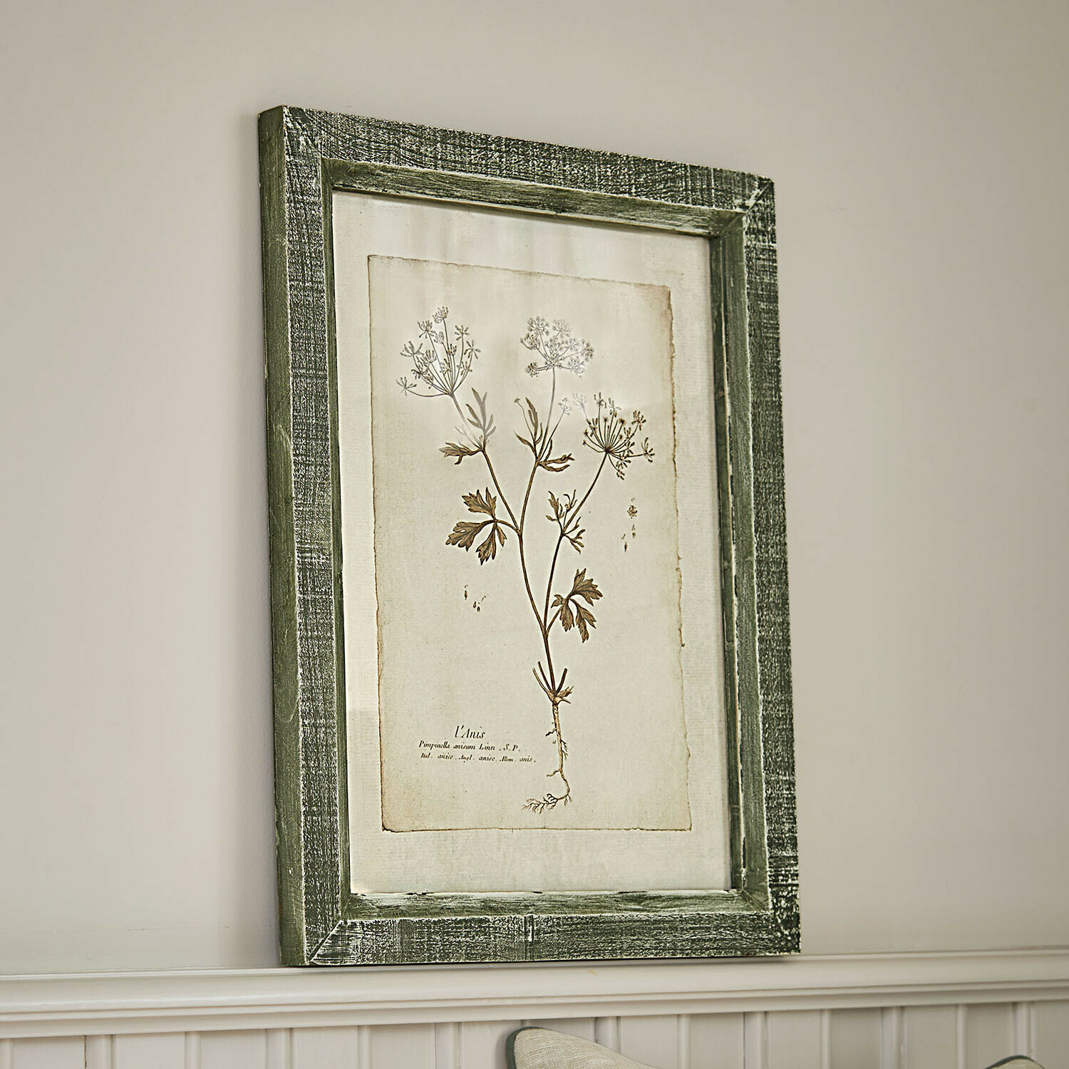 Tableau Kenwick Tableau botanique avec cadre en bois vert et dessin de plante sur fond beige pour décoration murale