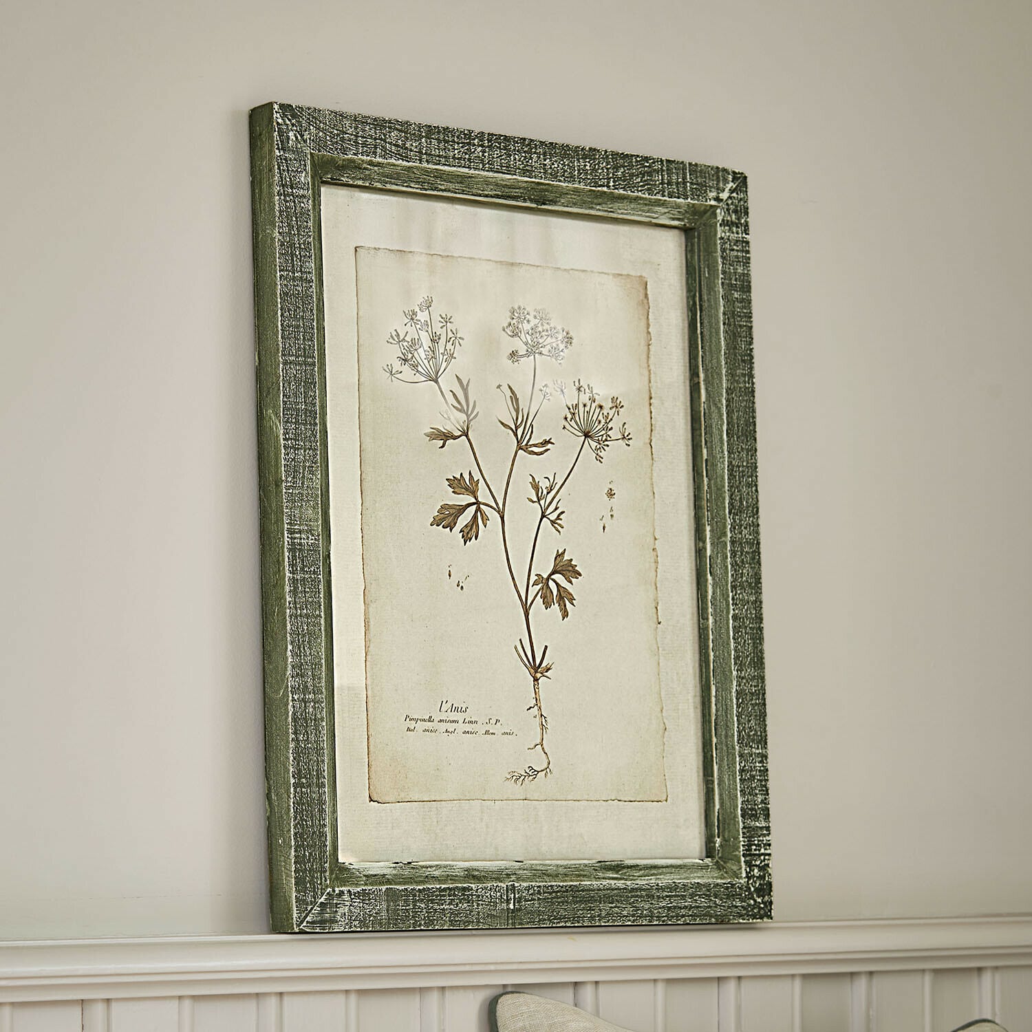 Afbeelding Kenwick Botanische afbeelding met groene houten lijst en planttekening op beige achtergrond voor wanddecoratie