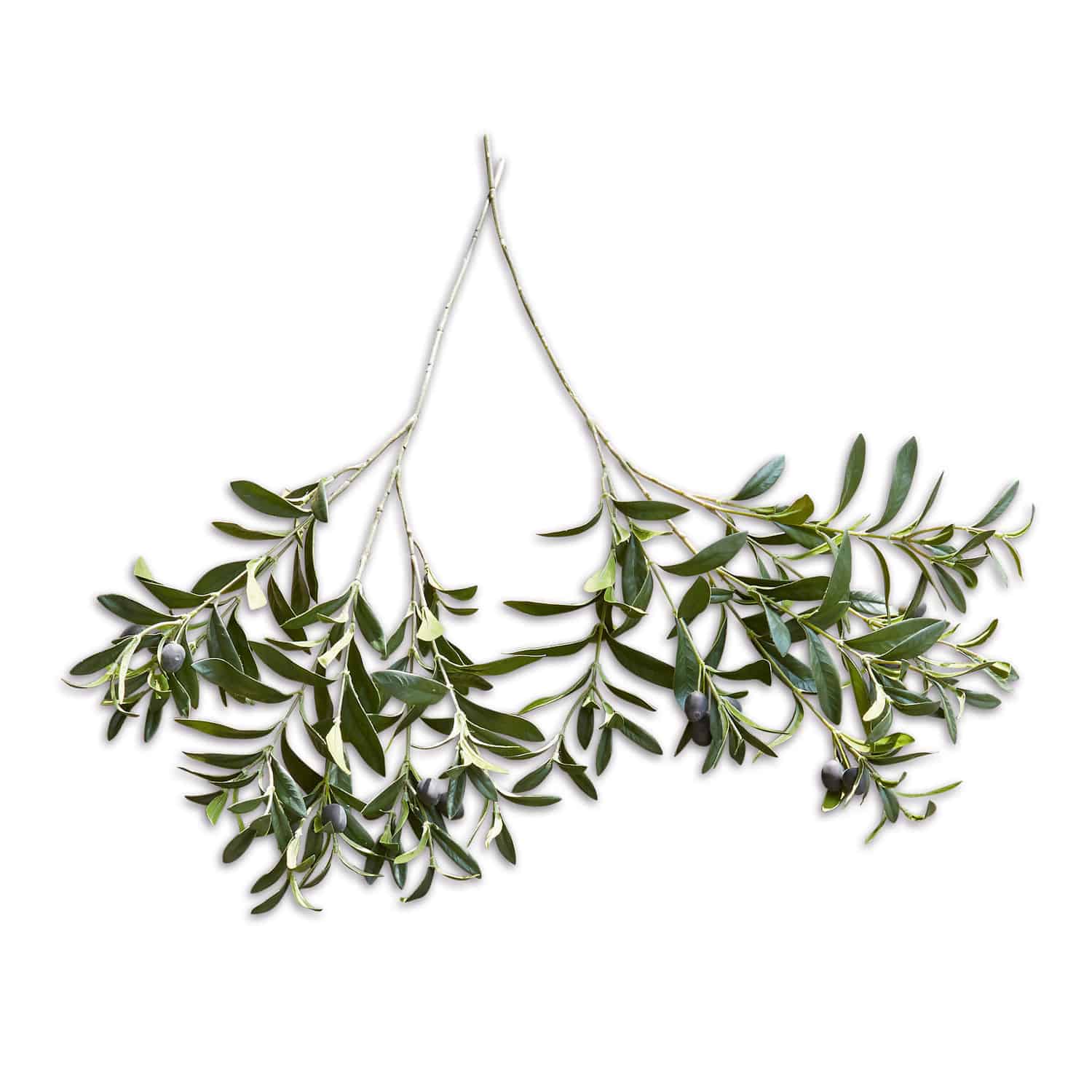 Kunstolijftak set van 2 Olives