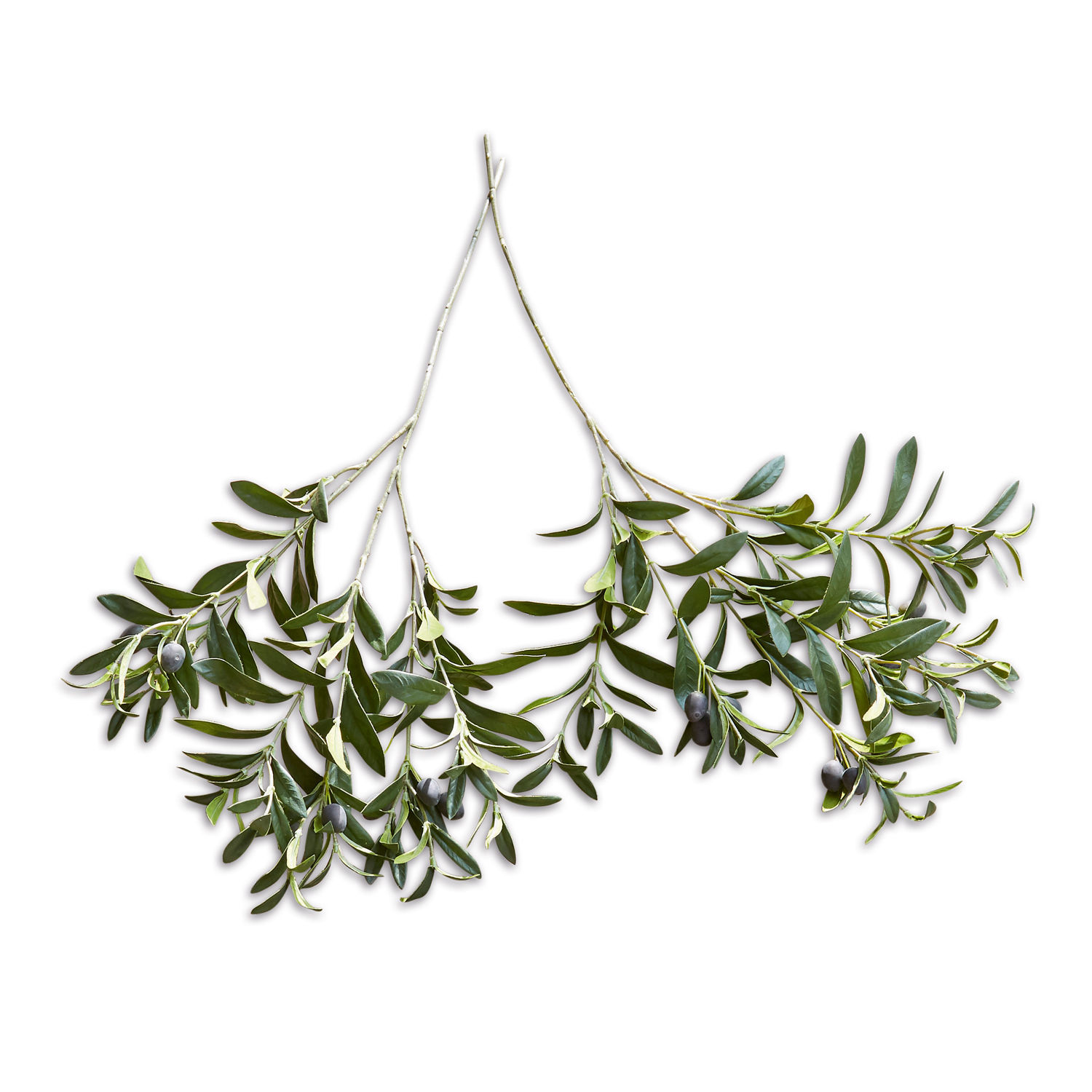 Kunstolijftak set van 2 Olives