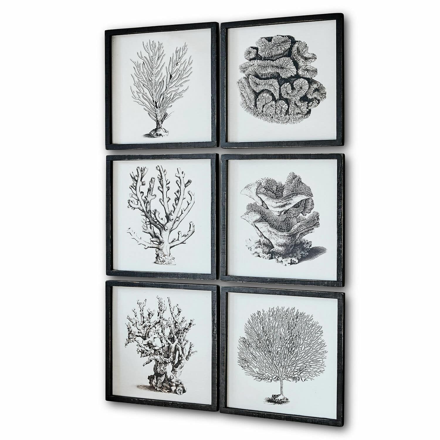 Lot de 6 tableaux Darney