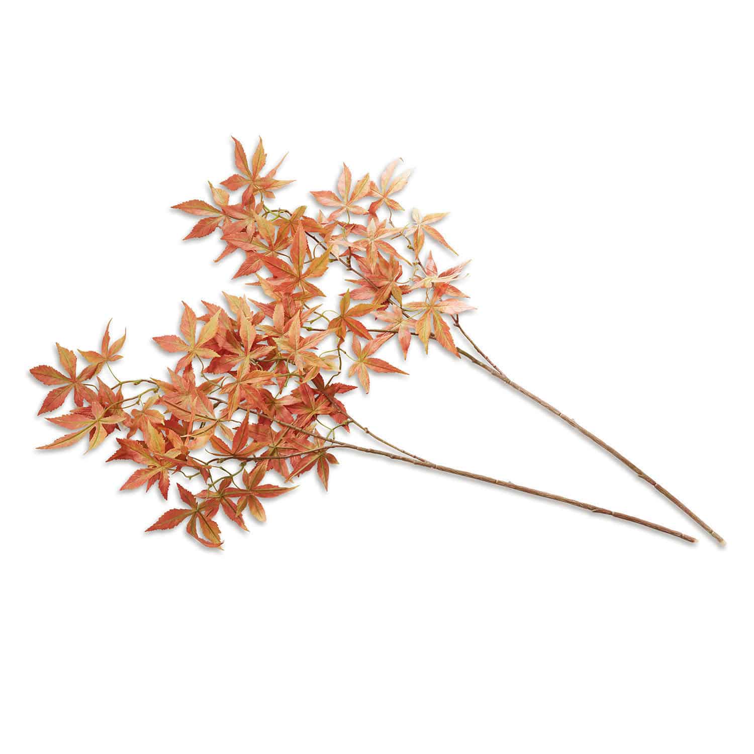 Decoratieve tak set van 2 Reddiere