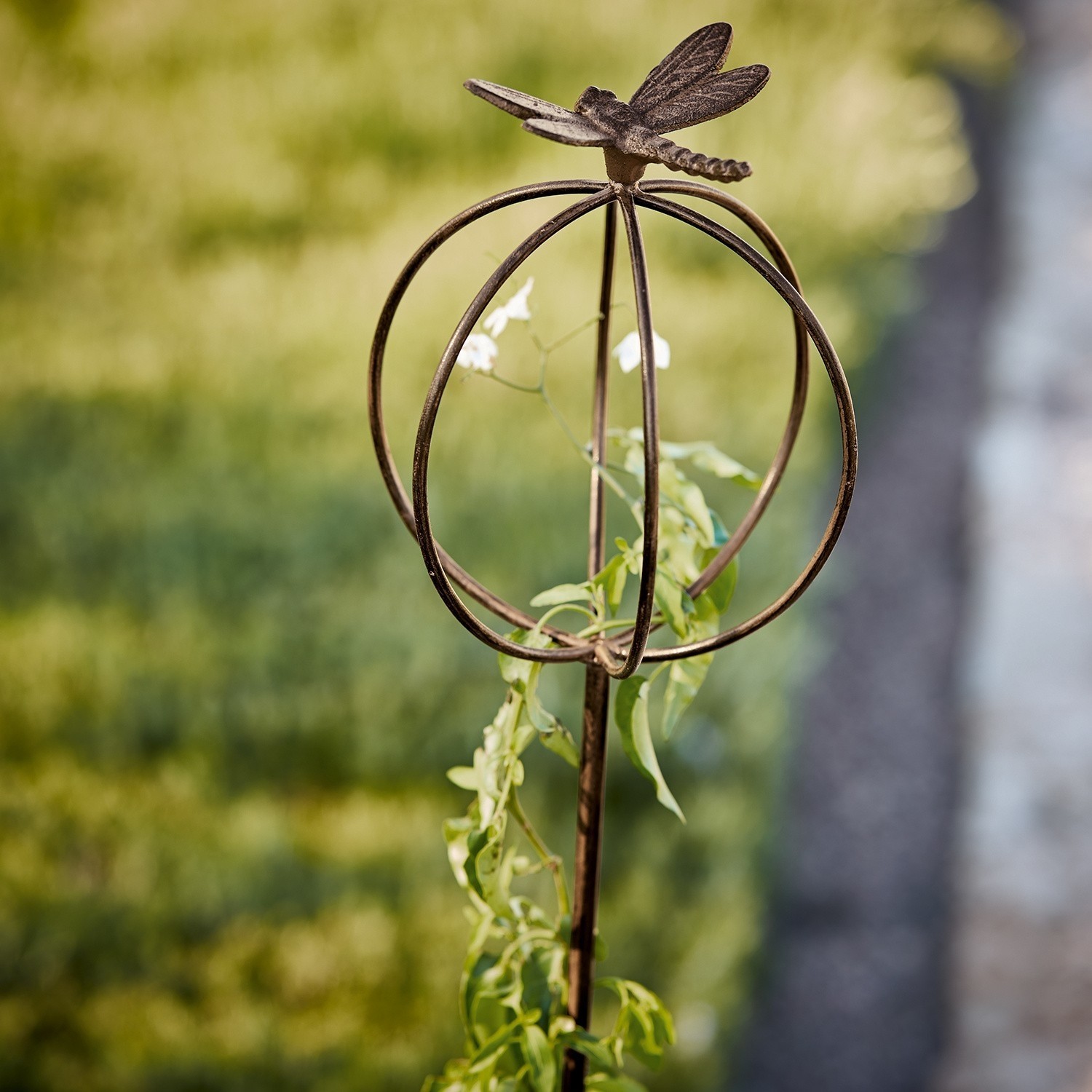Piquet de jardin Libelle