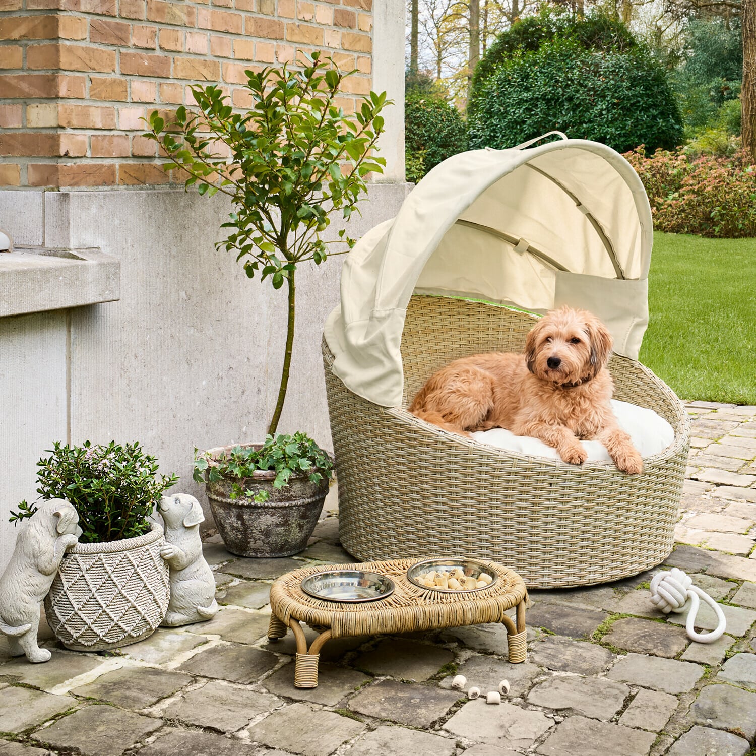 Gamelle avec support Petivas