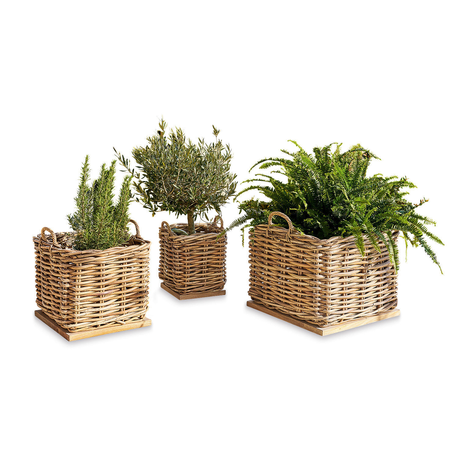 Mand set van 3 Chalet Set van drie natuurlijke rieten plantenmanden met groene planten voor woondecoratie