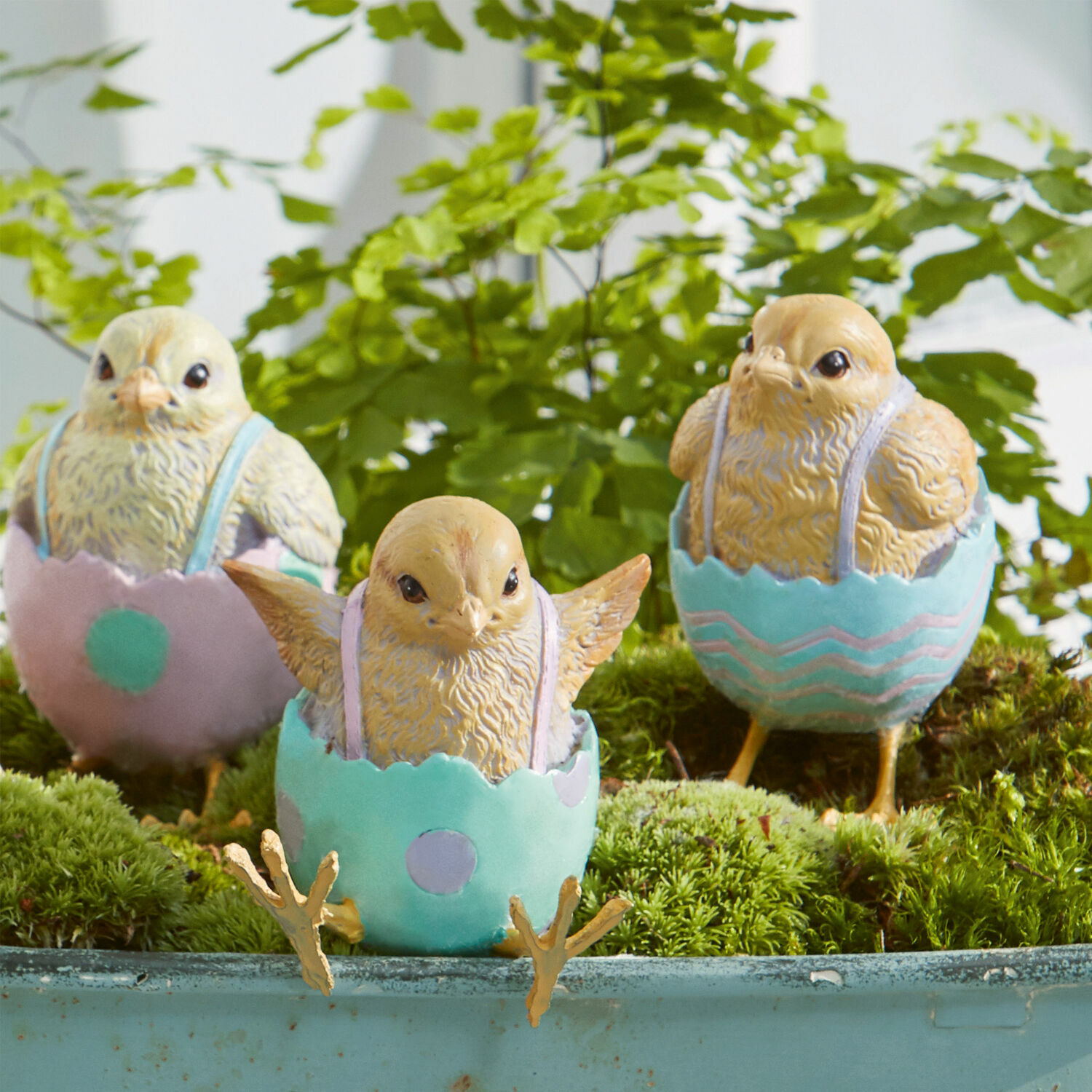 Lot de 4 poussins Persienne