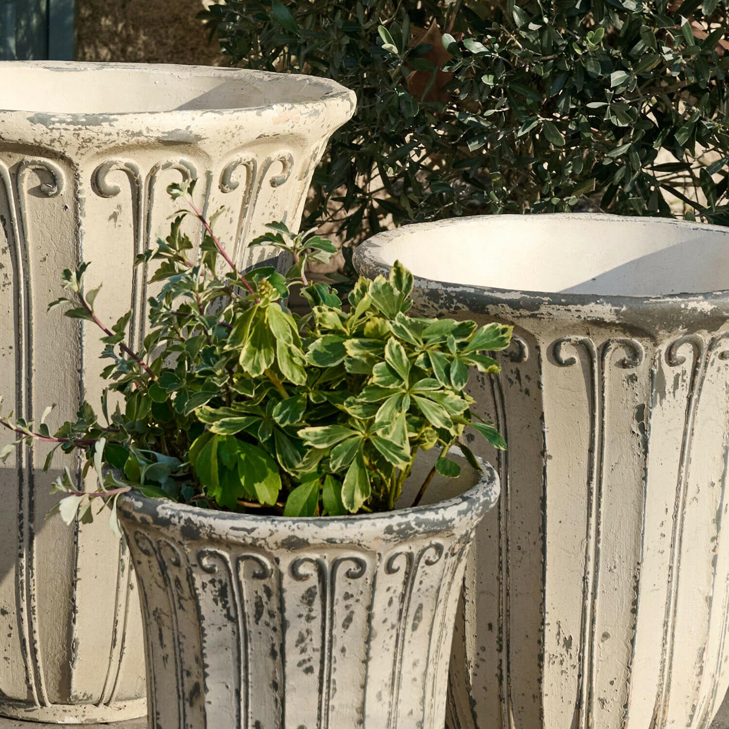 Sierpot set van 3 Méravon