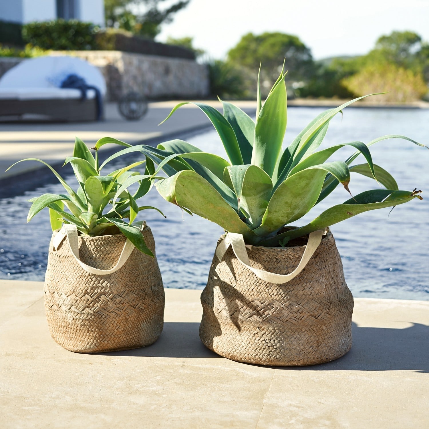 Lot de 2 cache-pots Mandella