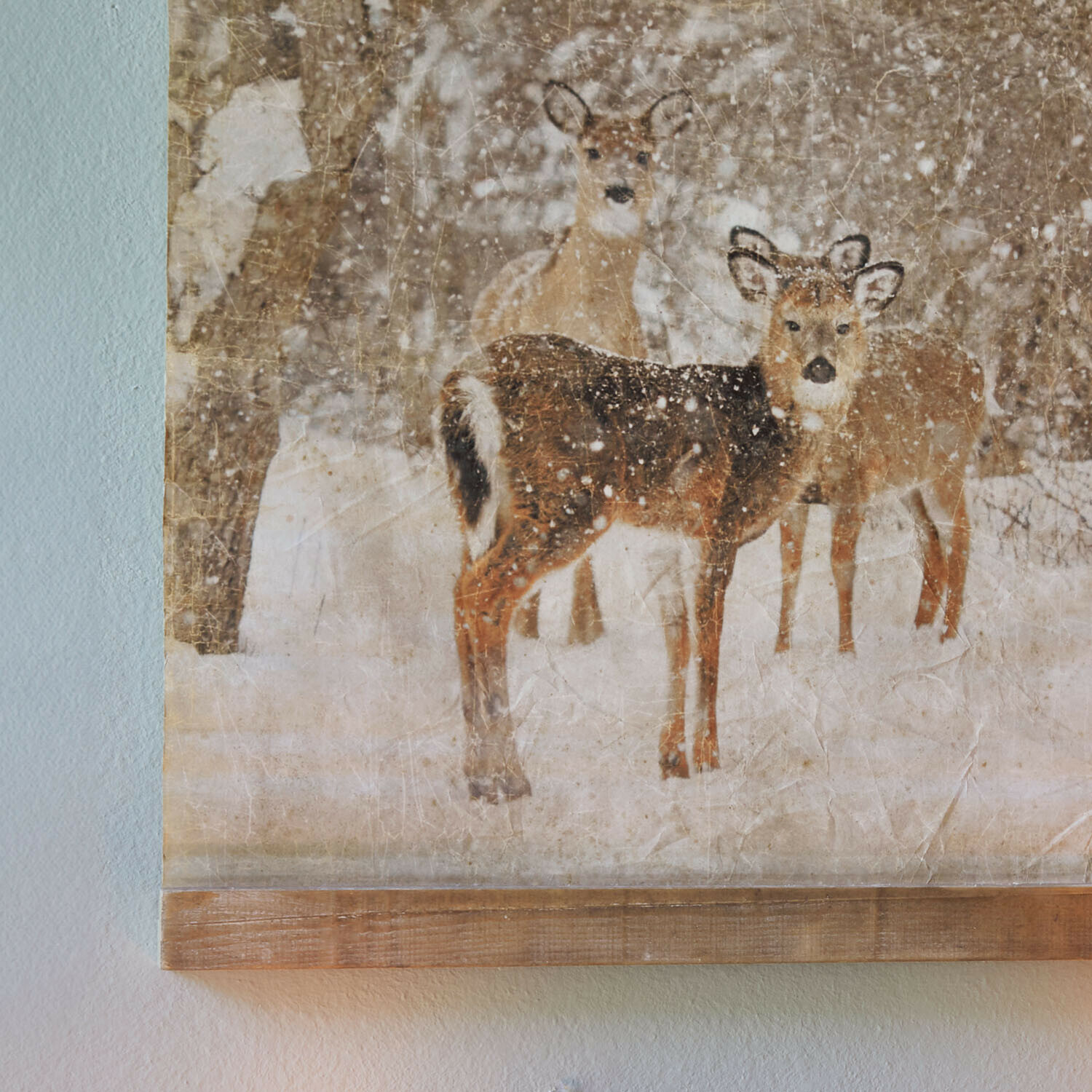 Tableau Trenaya