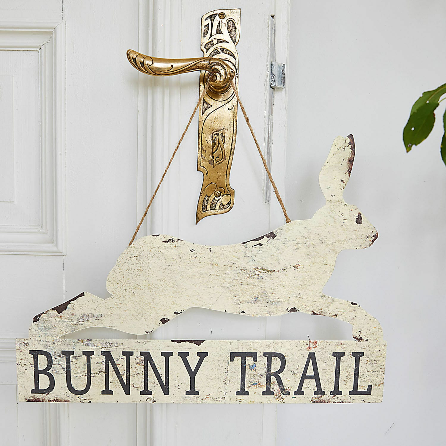 Decoboard Bunny Trail