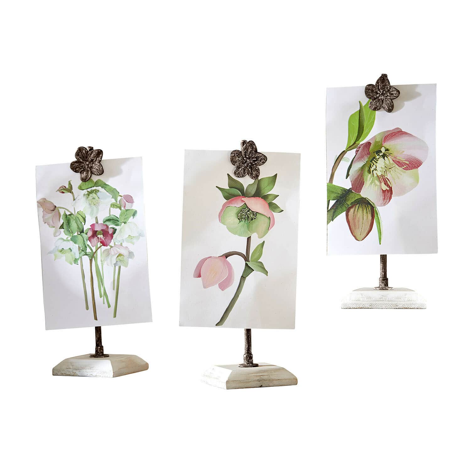 Afbeelding met houder set van 3 Serafinas Drie standaards met bloemvormige klemmen op witte voetjes met bloemenillustraties