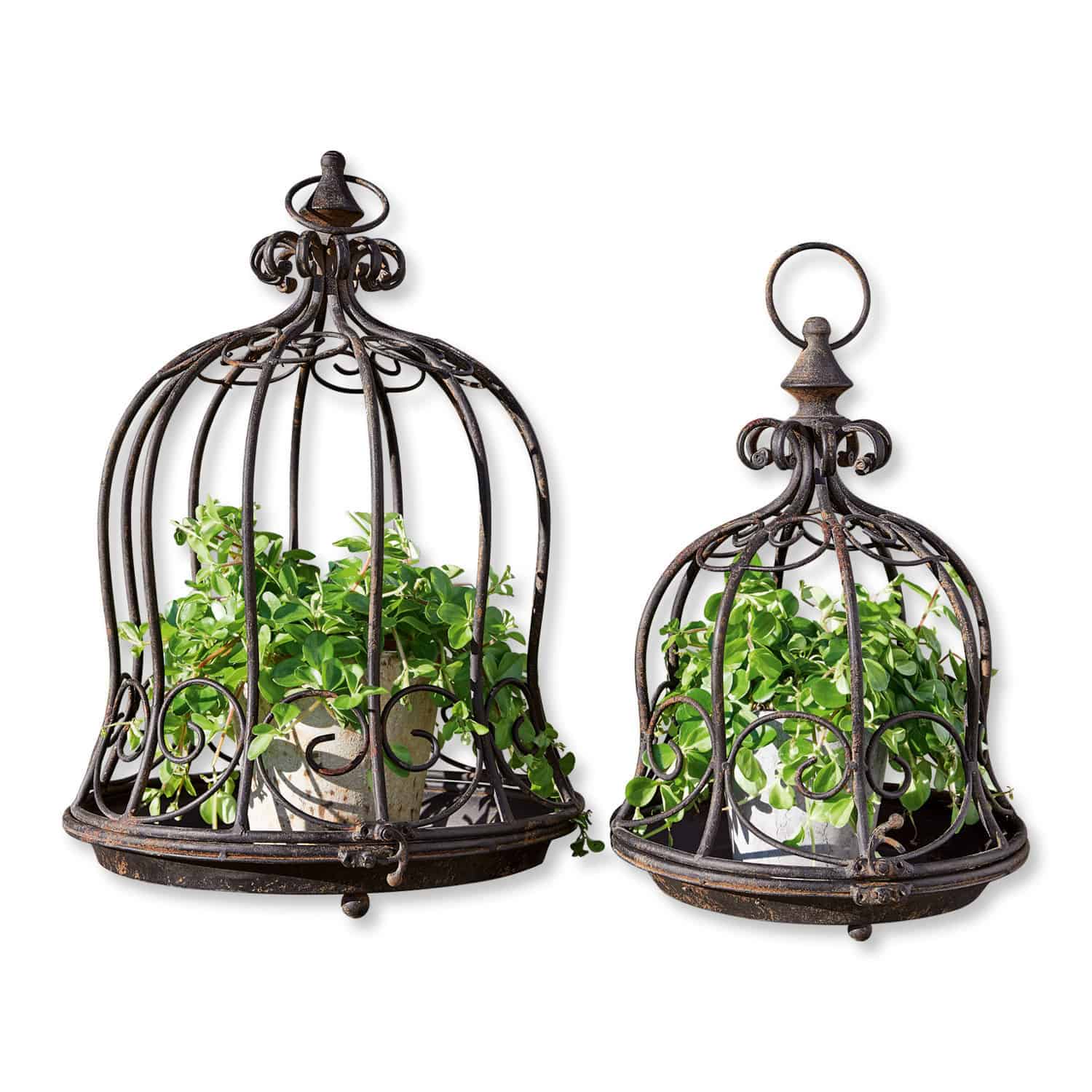 Ensemble de 2 supports à plantes noirs en métal Luisianne avec motif décoratif et pots avec feuillage vert