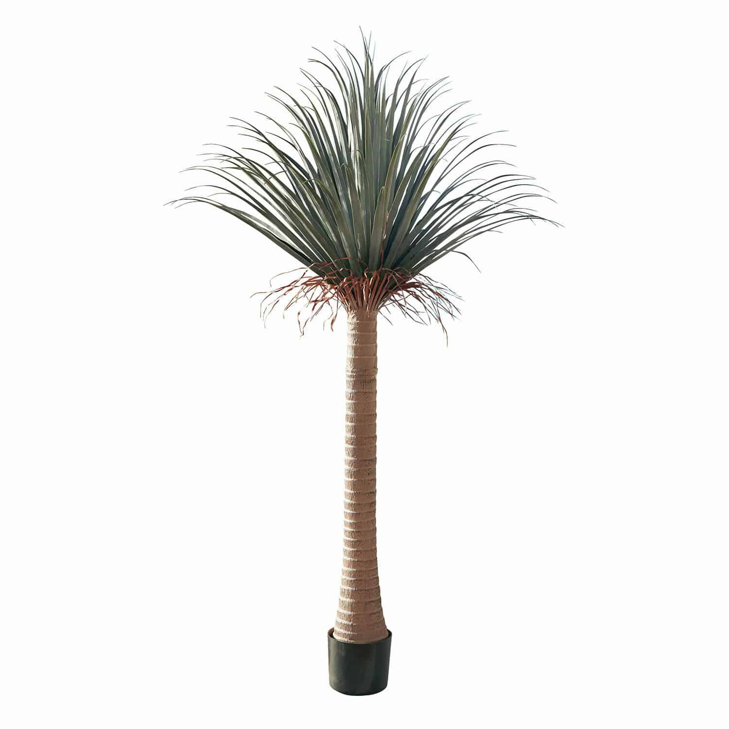 Decoratieve palmboom Remivon