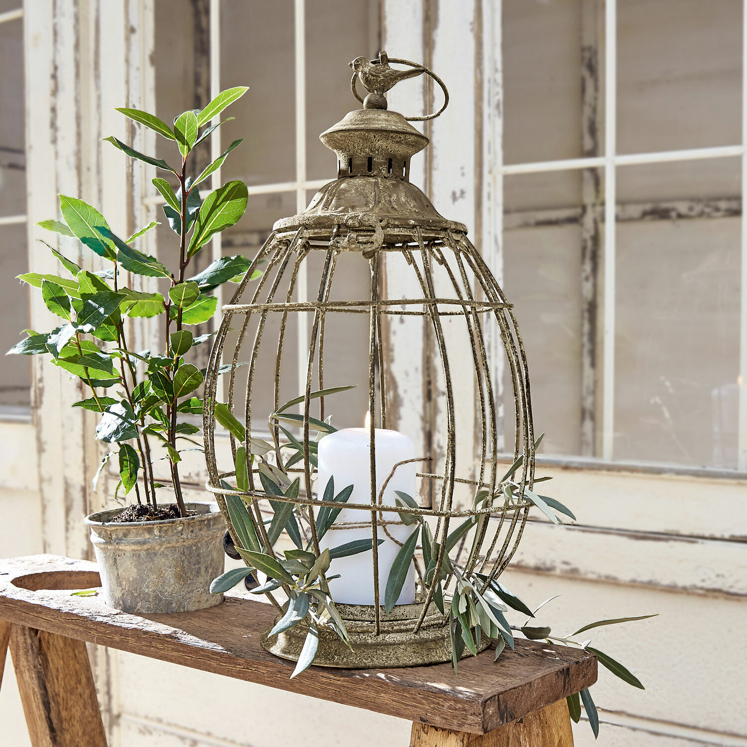 Lantaarn Morena Decoratieve metalen lantaarn in kooi-vorm met witte kaars en groene bladeren op houten tafel