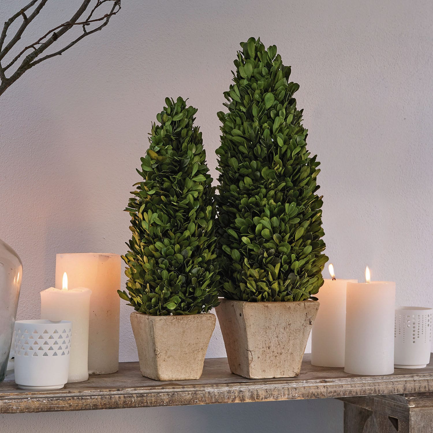 Sierboom set van 2 Pierry