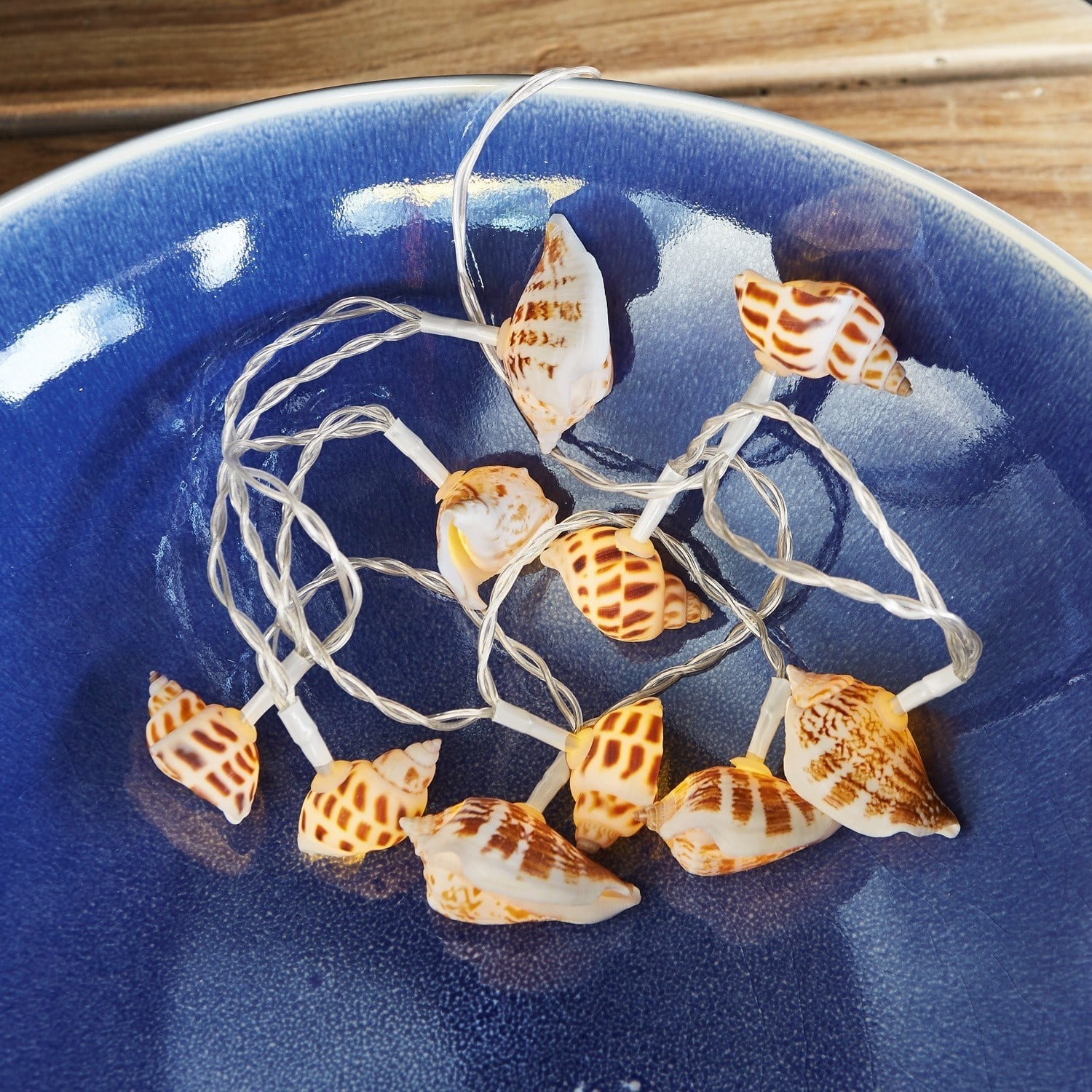 Lichtsnoer Muscheln