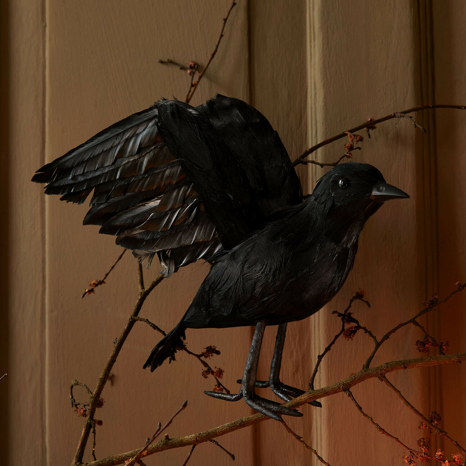 Oiseau décoratif Faelron