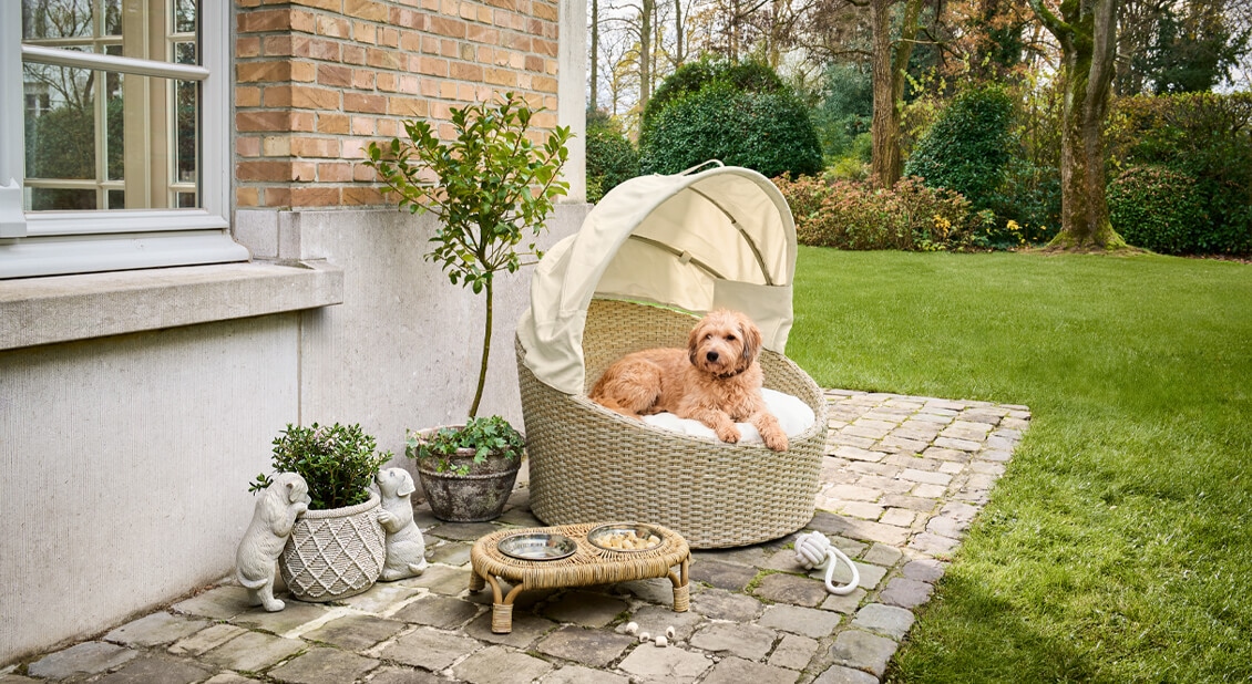 Panier de plage en osier beige avec coussin et chien allongé sur la terrasse dans le jardin