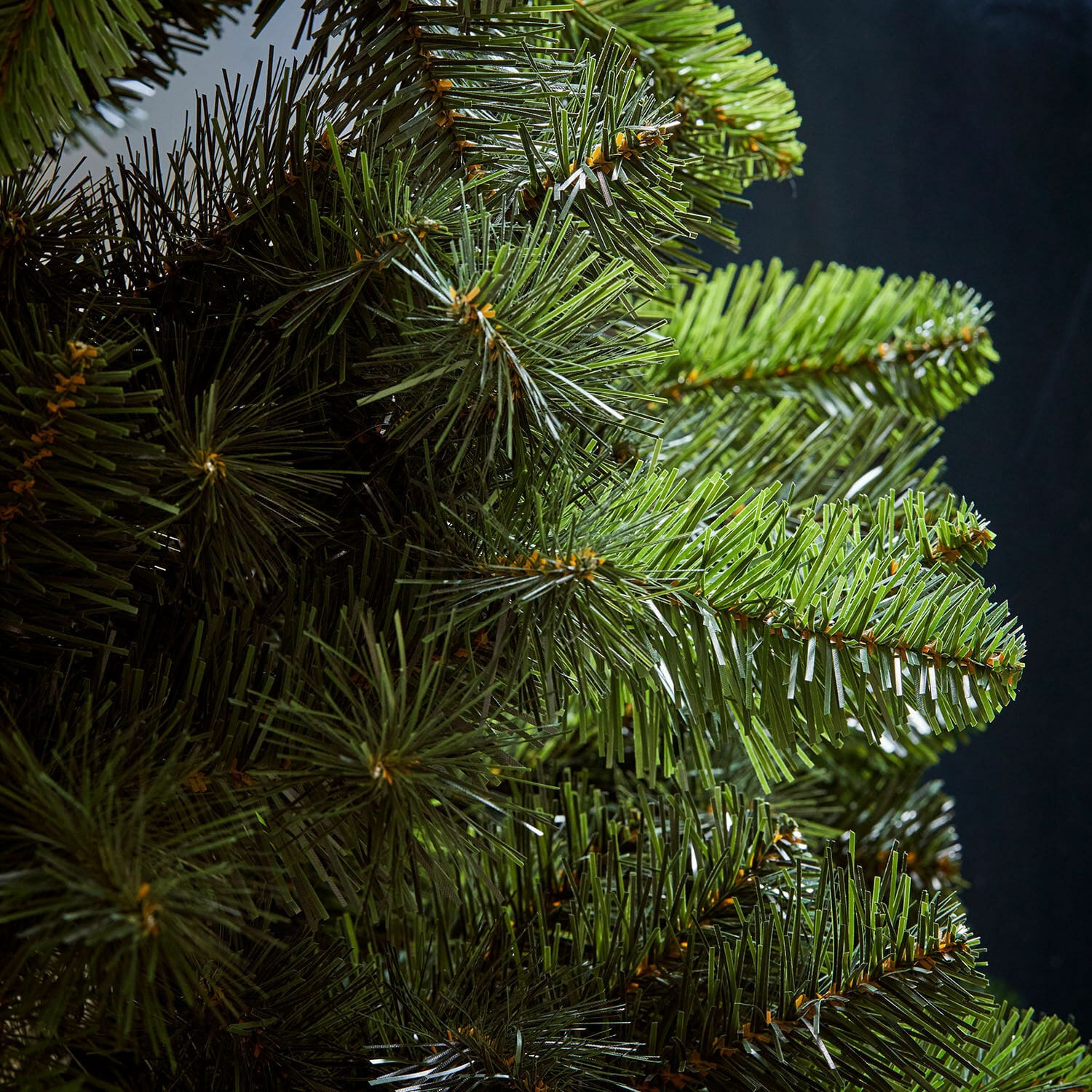Kerstboom Svalberg