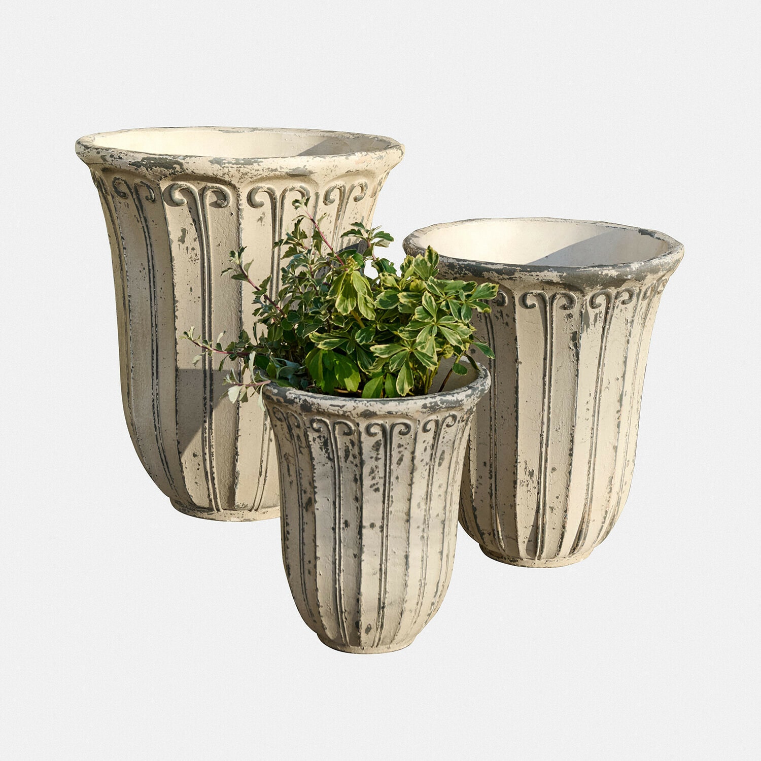 Lot de 3 cache-pots Méravon Ensemble de trois pots crème patinés avec plante, décoration de jardin en ciment au style vintage