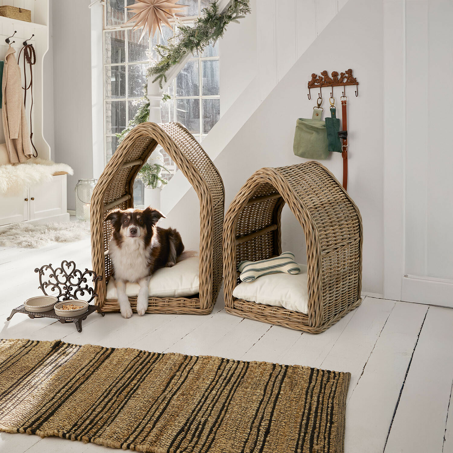 Mand voor huisdieren Muffan