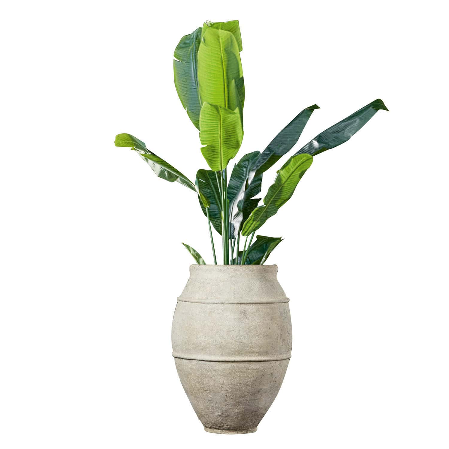 Sierpot Morcote