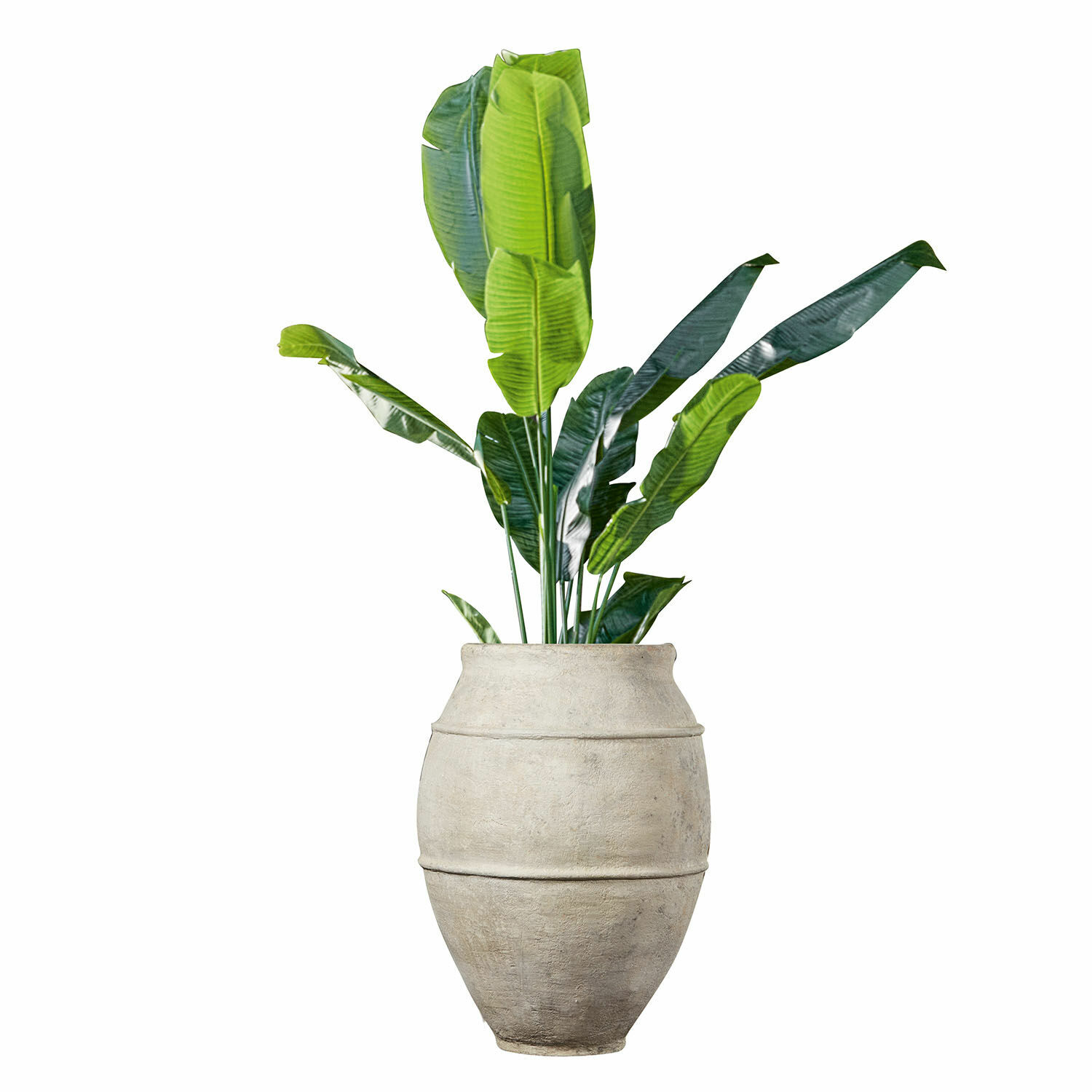 Sierpot Morcote Grote lichte stenen pot met groene bananenbladeren voor binnen- en buitendecoratie