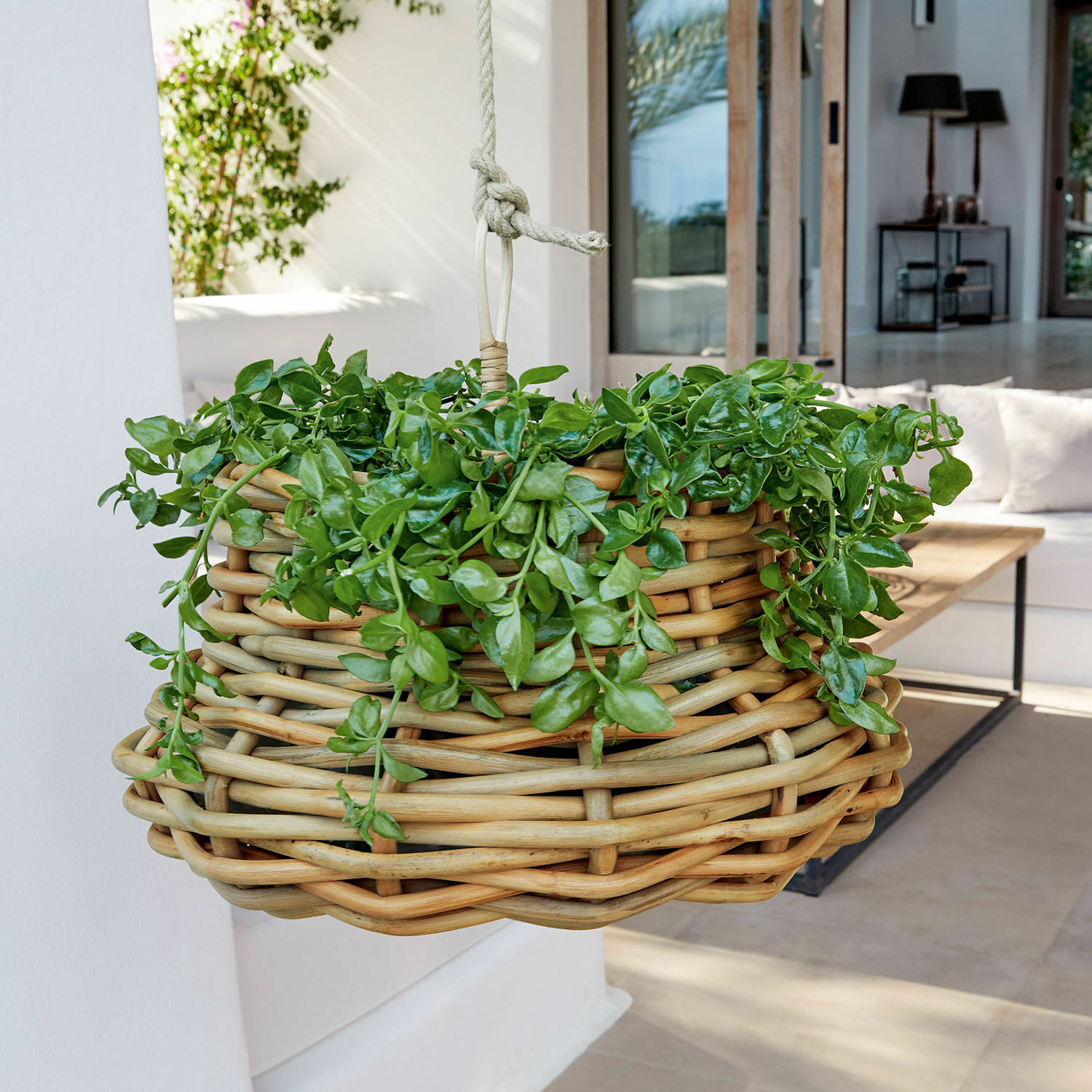 Hangmand Villaz Hangende mand van natuurlijk riet met groene planten voor binnen- en buitendecoratie