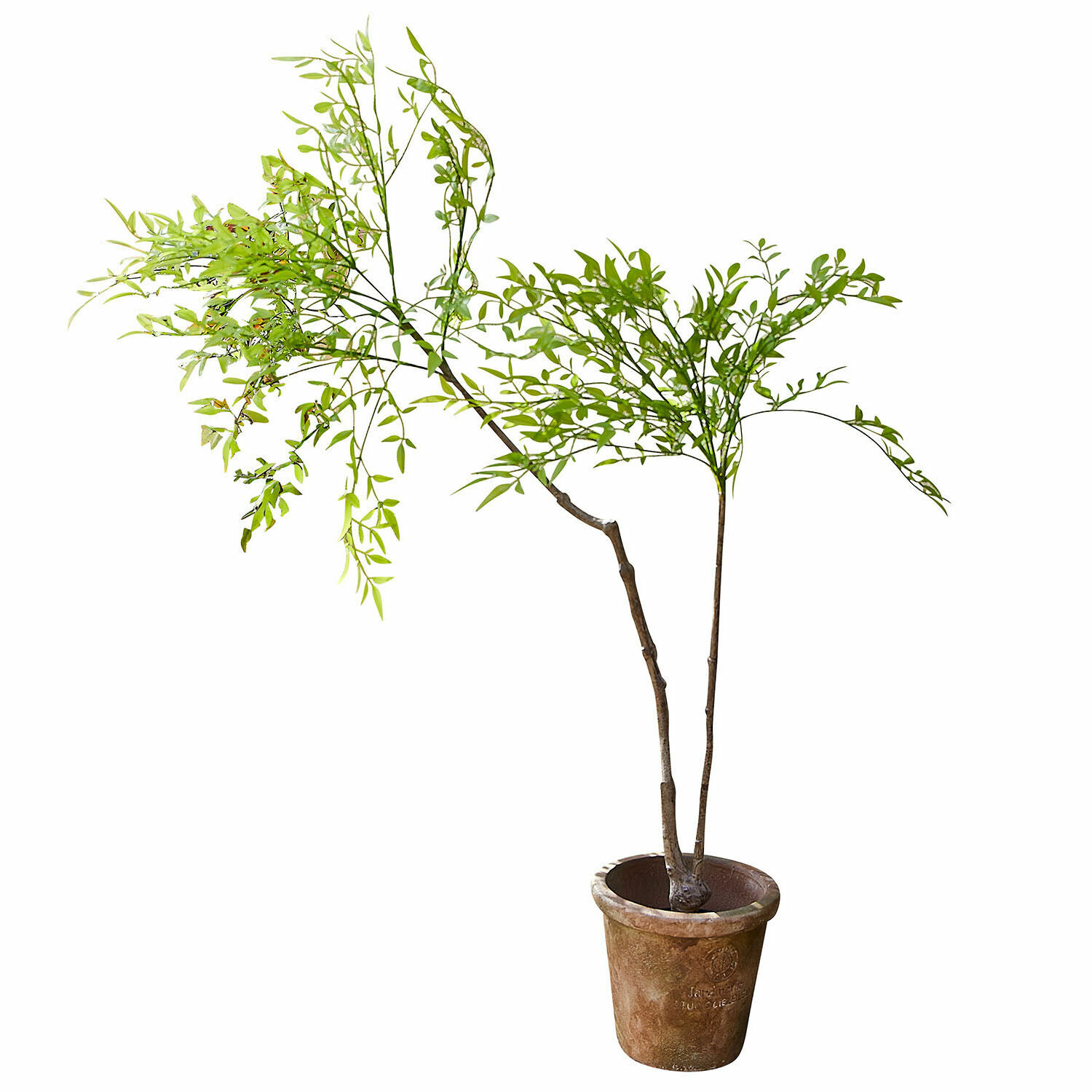Plante en pot décorative 2d choix Avenelle Arbre artificiel avec feuillage vert en pot marron pour décoration intérieure et extérieure