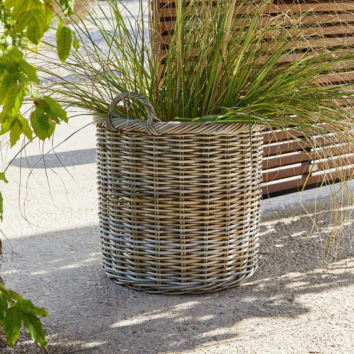 Panier Tauris