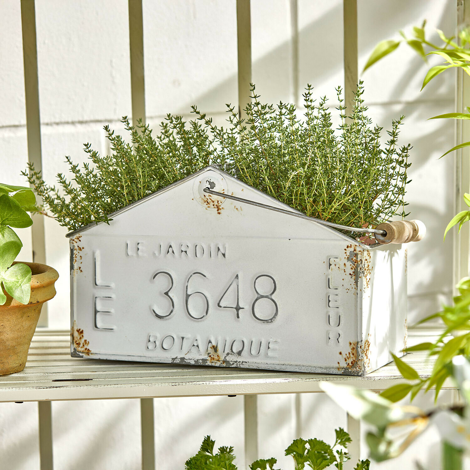 Mand Botanique Witte metalen plantenbak met roestvlekken en groene kruiden op een wit rek in de tuin