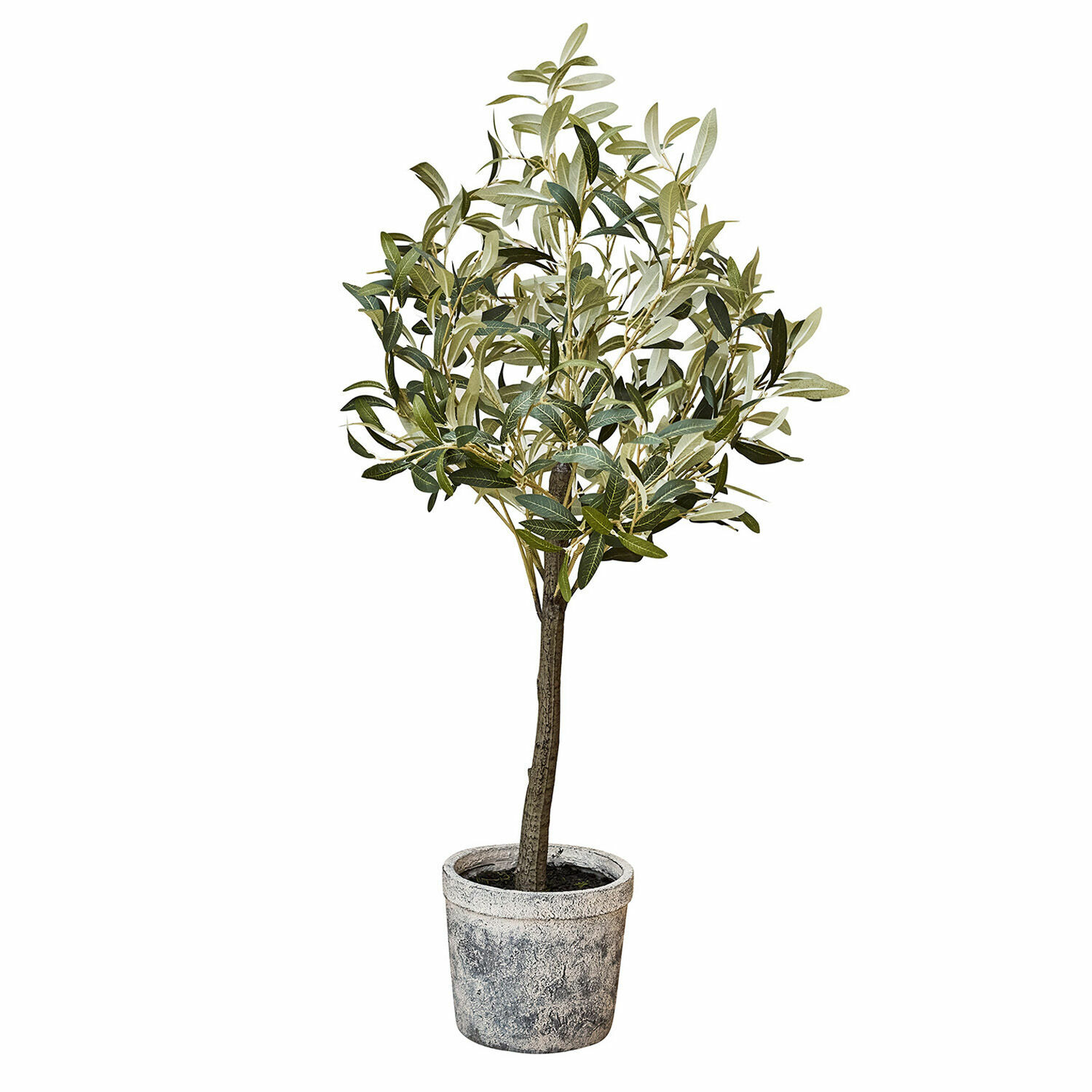 Plante décorative en pot Mariuccia Arbre d'olivier artificiel en pot gris en plastique, décoration intérieure et extérieure