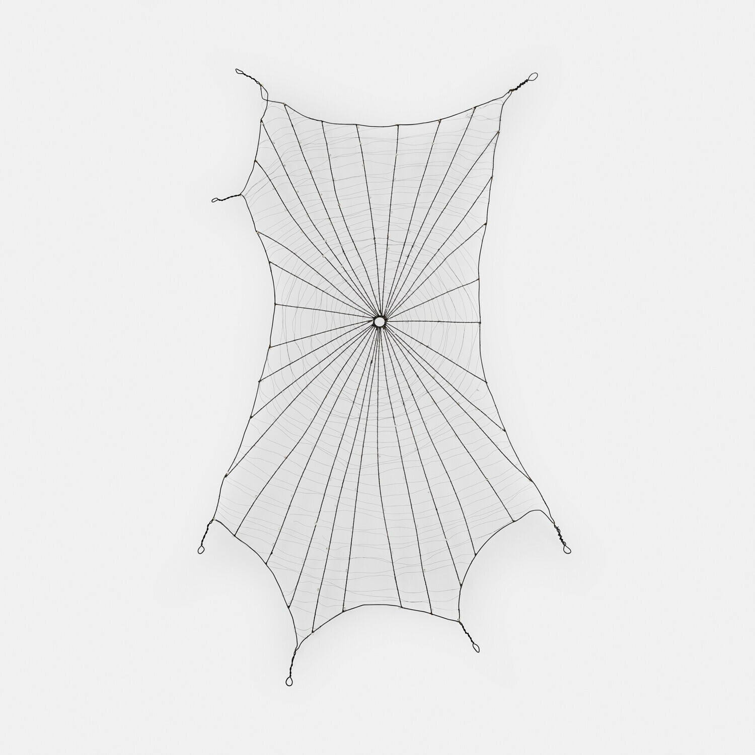 Decoratief spinnenweb Vexilnor