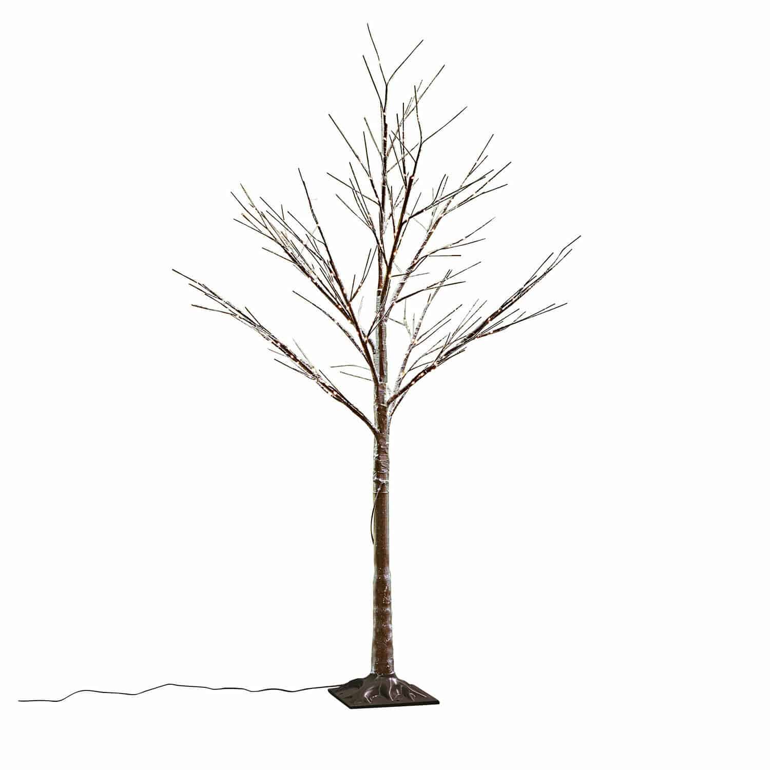 Ledboom Valonique